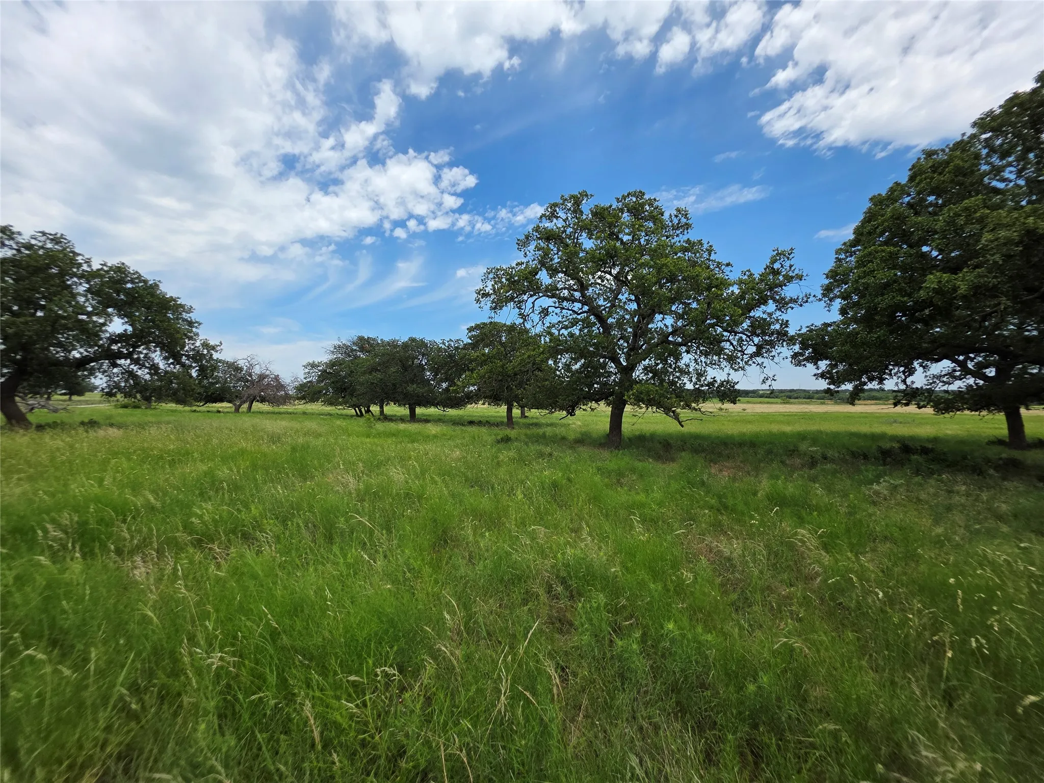 Ranch For Sale in Brown County , 2251 Fm 585, Bangs, Texas 76823, 0, 0, Garage spaces, 0 Sqft, built in 0, Price $1,769,875, mls#21322475, Real Estate Agent in Bangs, Homes For Sale in Brown county, Homes For Sale in Bangs, Realtor in Bangs Texas, Real Estate Brokerage Independent Realty Texas, Luminita Cordes Realtor