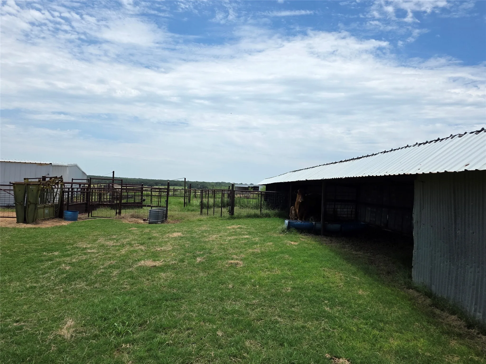 Ranch For Sale in Brown County , 2251 Fm 585, Bangs, Texas 76823, 0, 0, Garage spaces, 0 Sqft, built in 0, Price $1,769,875, mls#21322475, Real Estate Agent in Bangs, Homes For Sale in Brown county, Homes For Sale in Bangs, Realtor in Bangs Texas, Real Estate Brokerage Independent Realty Texas, Luminita Cordes Realtor