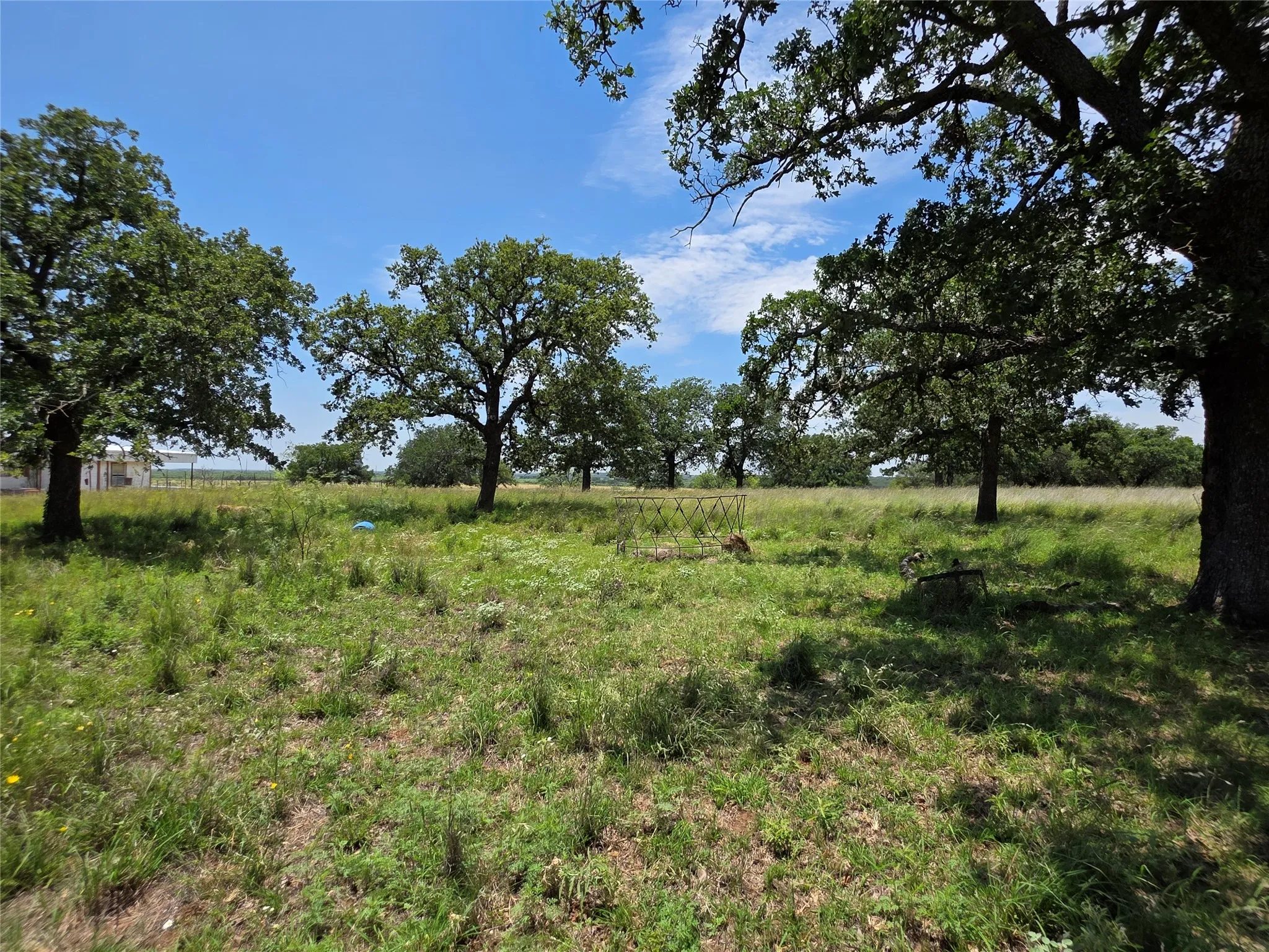 Ranch For Sale in Brown County , 2251 Fm 585, Bangs, Texas 76823, 0, 0, Garage spaces, 0 Sqft, built in 0, Price $1,769,875, mls#21322475, Real Estate Agent in Bangs, Homes For Sale in Brown county, Homes For Sale in Bangs, Realtor in Bangs Texas, Real Estate Brokerage Independent Realty Texas, Luminita Cordes Realtor