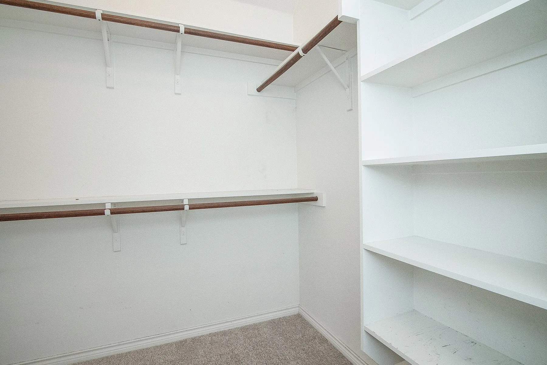 Built-in white shelving, wood-finish hanging rods, and carpeted flooring