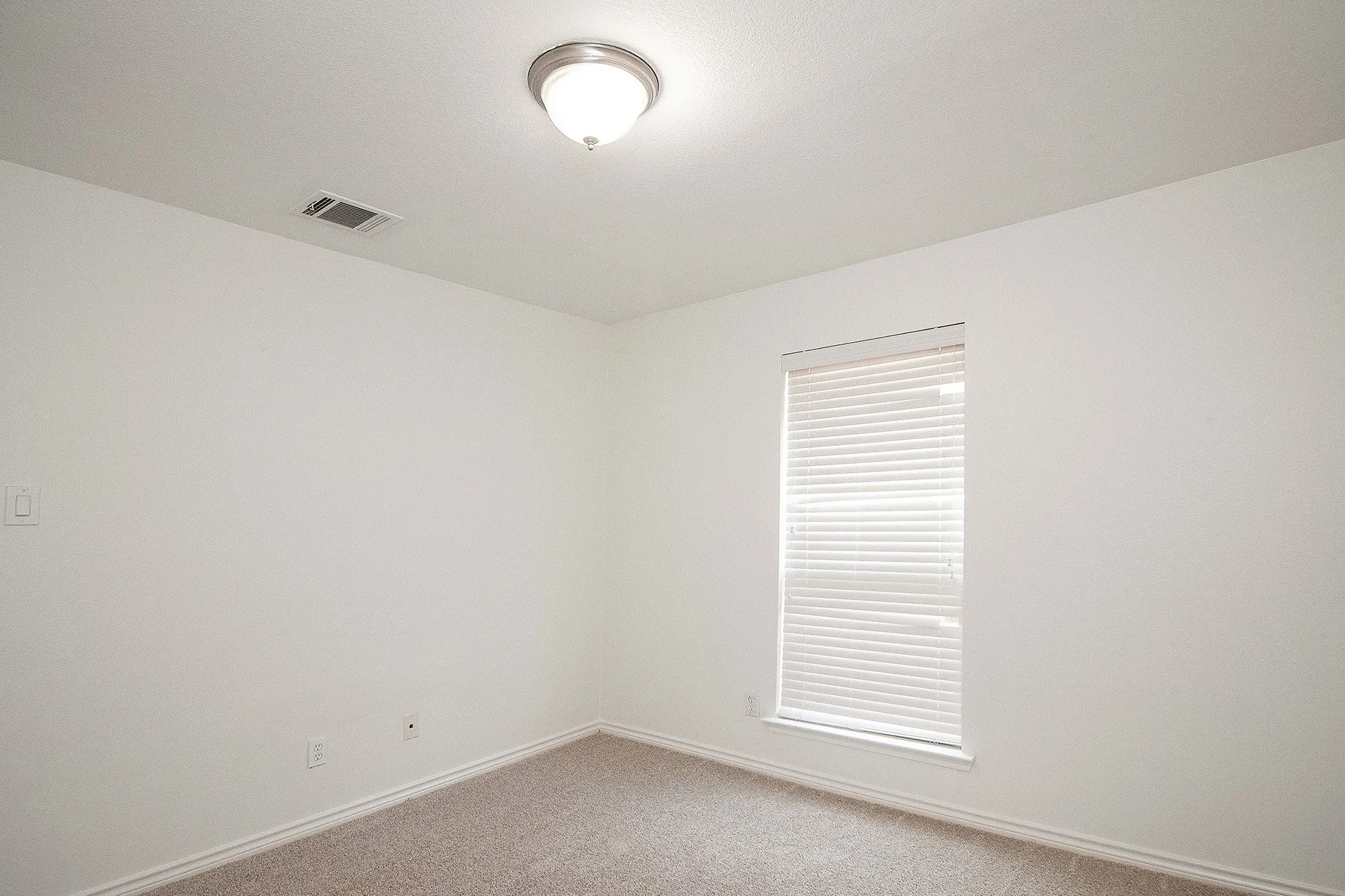 Neutral wall finishes, window with blinds, flush-mount ceiling light fixture, and carpeted flooring