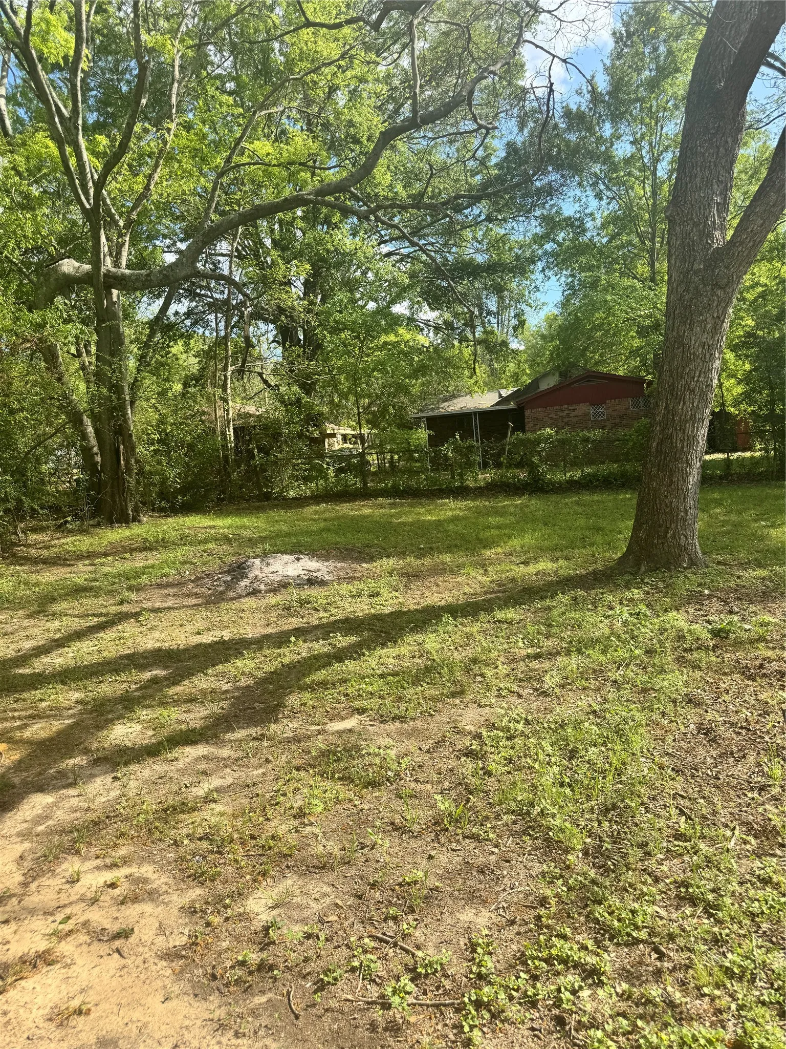 Expansive outdoor area featuring mature trees and a partial residential structure