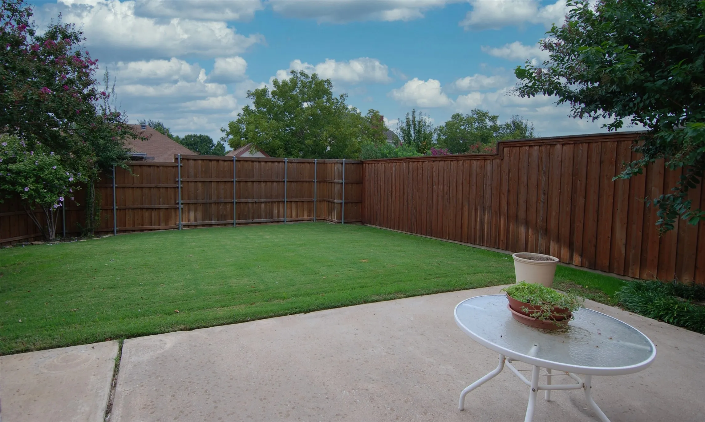 Private Back Yard & Patio