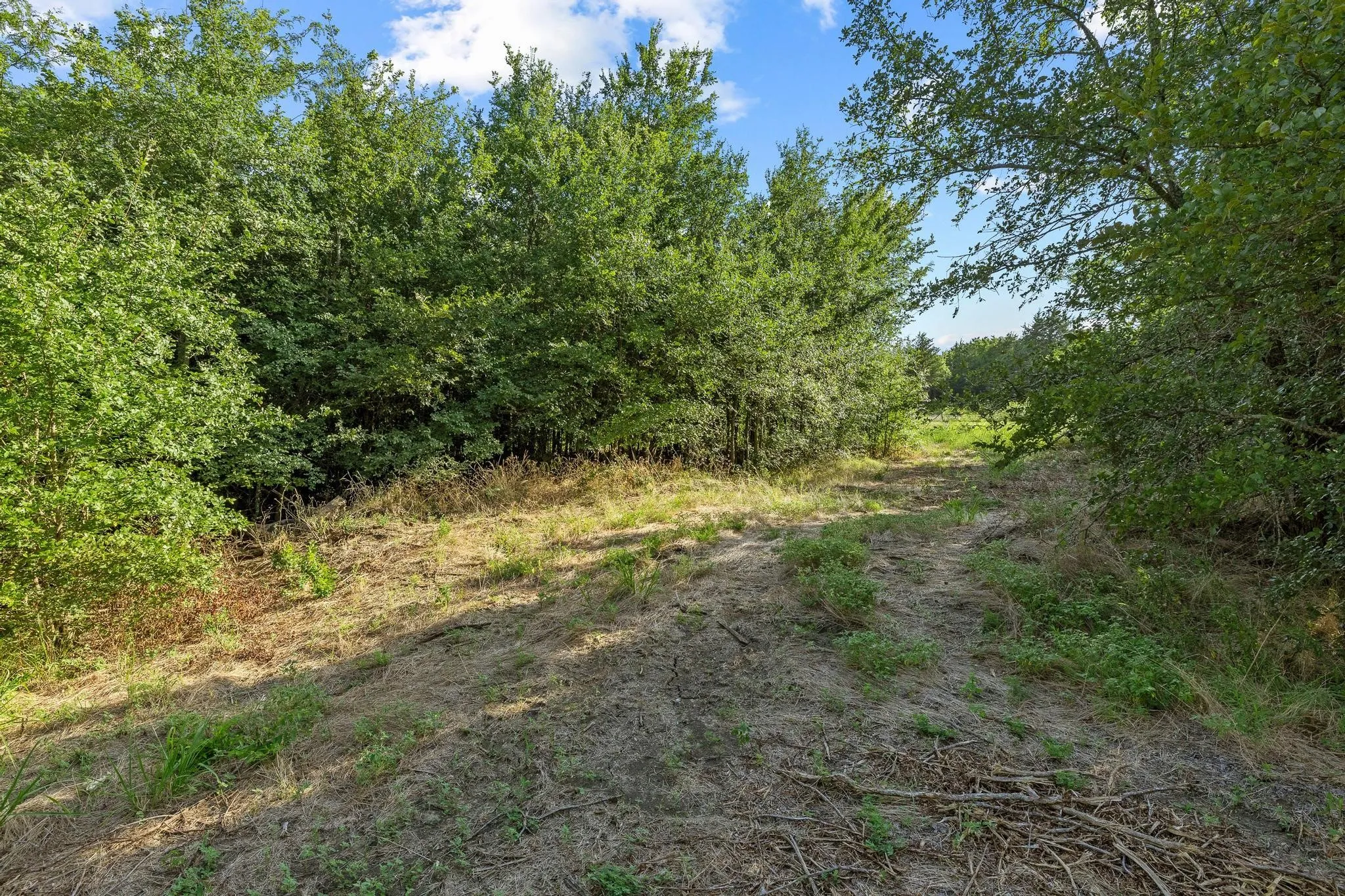 Unimproved Land For Sale in Grayson County , TBD N Pecan St/U.S. Highway 69, Bells, Texas 75414, 0, 0, Garage spaces, 0 Sqft, built in 0, mls#21311228, Real Estate Agent in Bells, Homes For Sale in Grayson county, Homes For Sale in Bells, Realtor in Bells Texas, Real Estate Brokerage Independent Realty Texas, Luminita Cordes Realtor