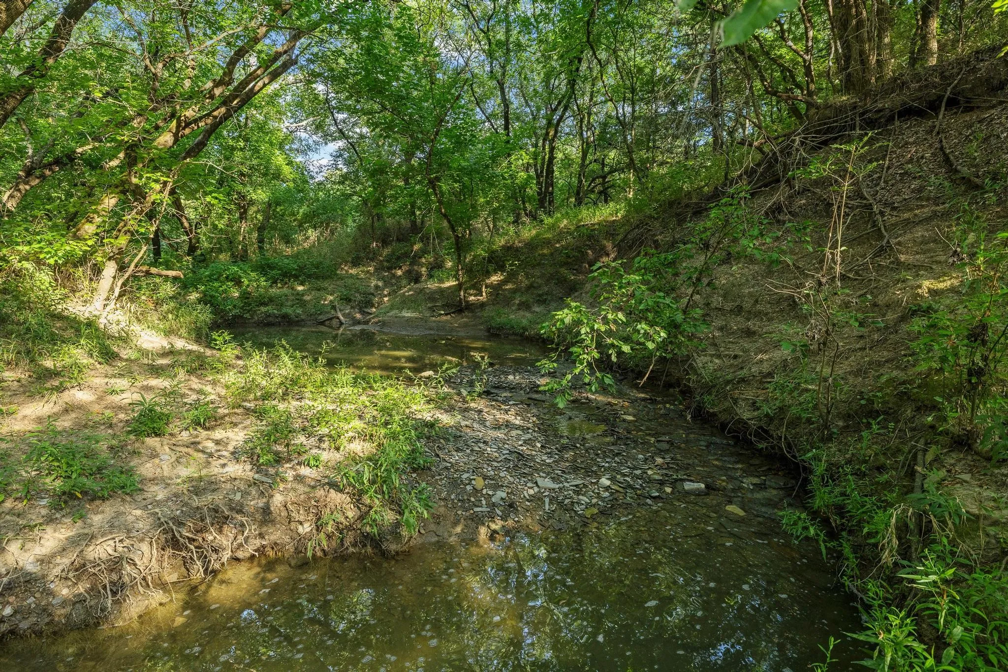 Unimproved Land For Sale in Grayson County , TBD N Pecan St/U.S. Highway 69, Bells, Texas 75414, 0, 0, Garage spaces, 0 Sqft, built in 0, mls#21311228, Real Estate Agent in Bells, Homes For Sale in Grayson county, Homes For Sale in Bells, Realtor in Bells Texas, Real Estate Brokerage Independent Realty Texas, Luminita Cordes Realtor