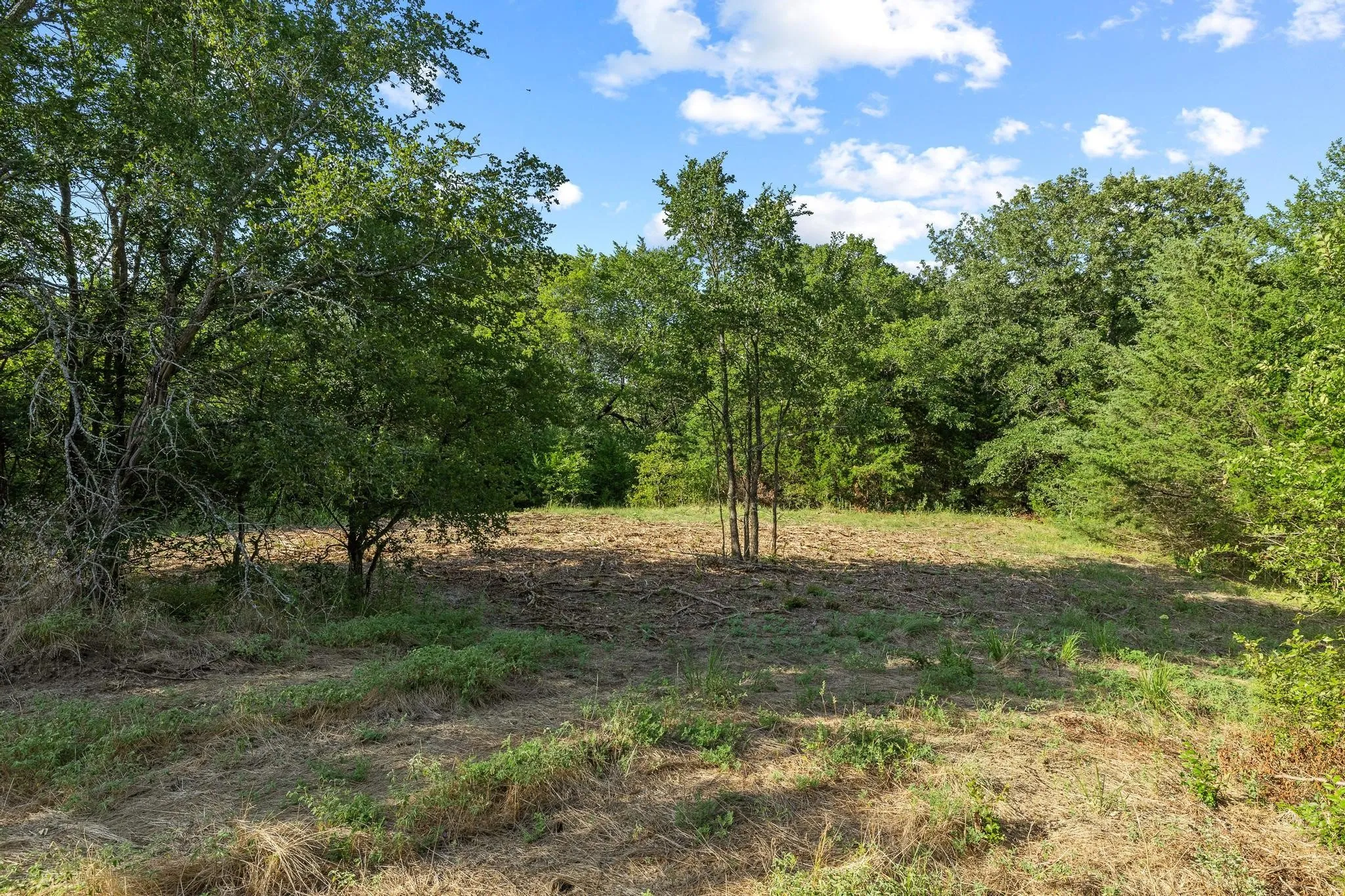 Unimproved Land For Sale in Grayson County , TBD N Pecan St/U.S. Highway 69, Bells, Texas 75414, 0, 0, Garage spaces, 0 Sqft, built in 0, mls#21311228, Real Estate Agent in Bells, Homes For Sale in Grayson county, Homes For Sale in Bells, Realtor in Bells Texas, Real Estate Brokerage Independent Realty Texas, Luminita Cordes Realtor