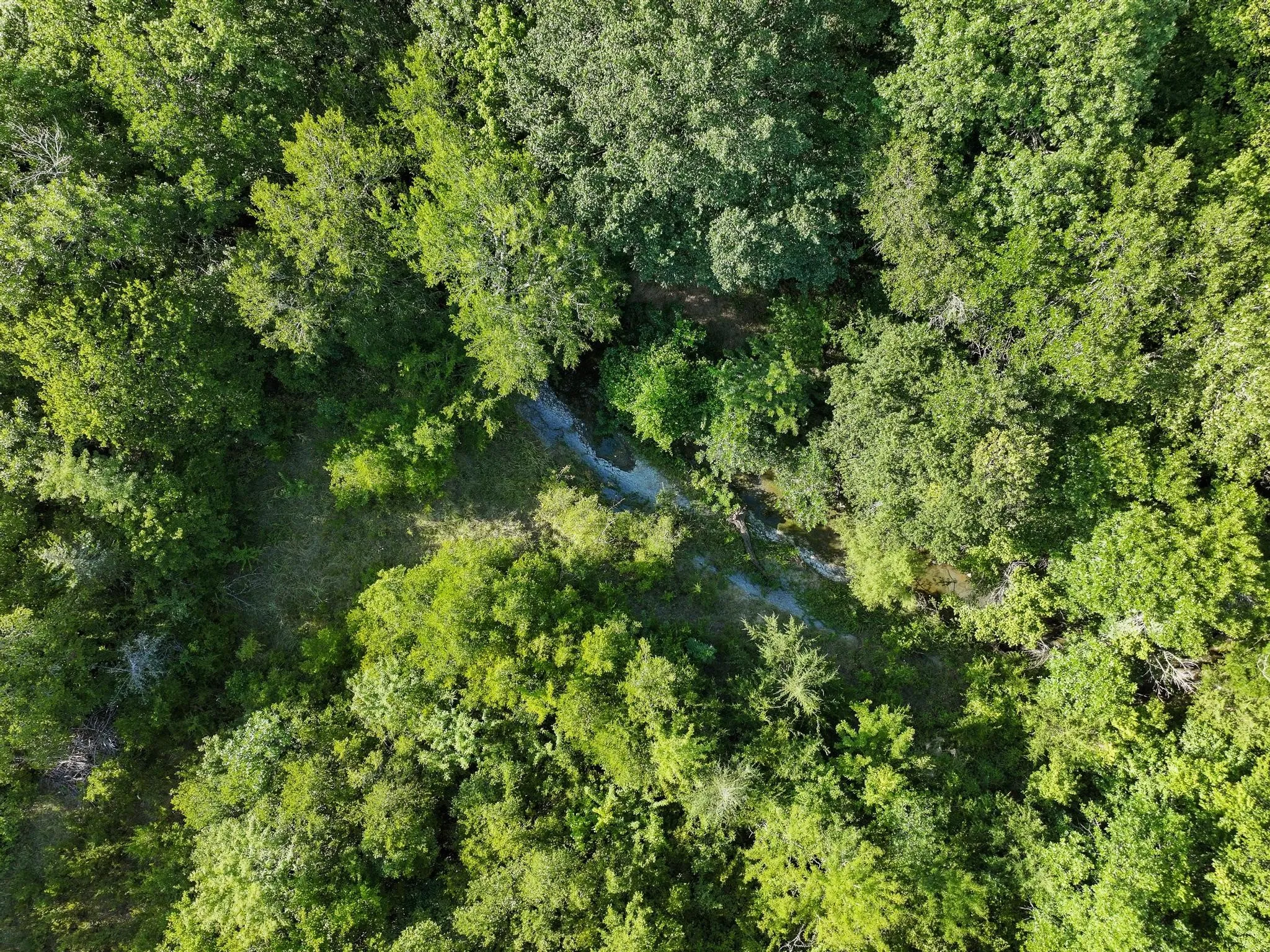 Unimproved Land For Sale in Grayson County , TBD N Pecan St/U.S. Highway 69, Bells, Texas 75414, 0, 0, Garage spaces, 0 Sqft, built in 0, mls#21311228, Real Estate Agent in Bells, Homes For Sale in Grayson county, Homes For Sale in Bells, Realtor in Bells Texas, Real Estate Brokerage Independent Realty Texas, Luminita Cordes Realtor