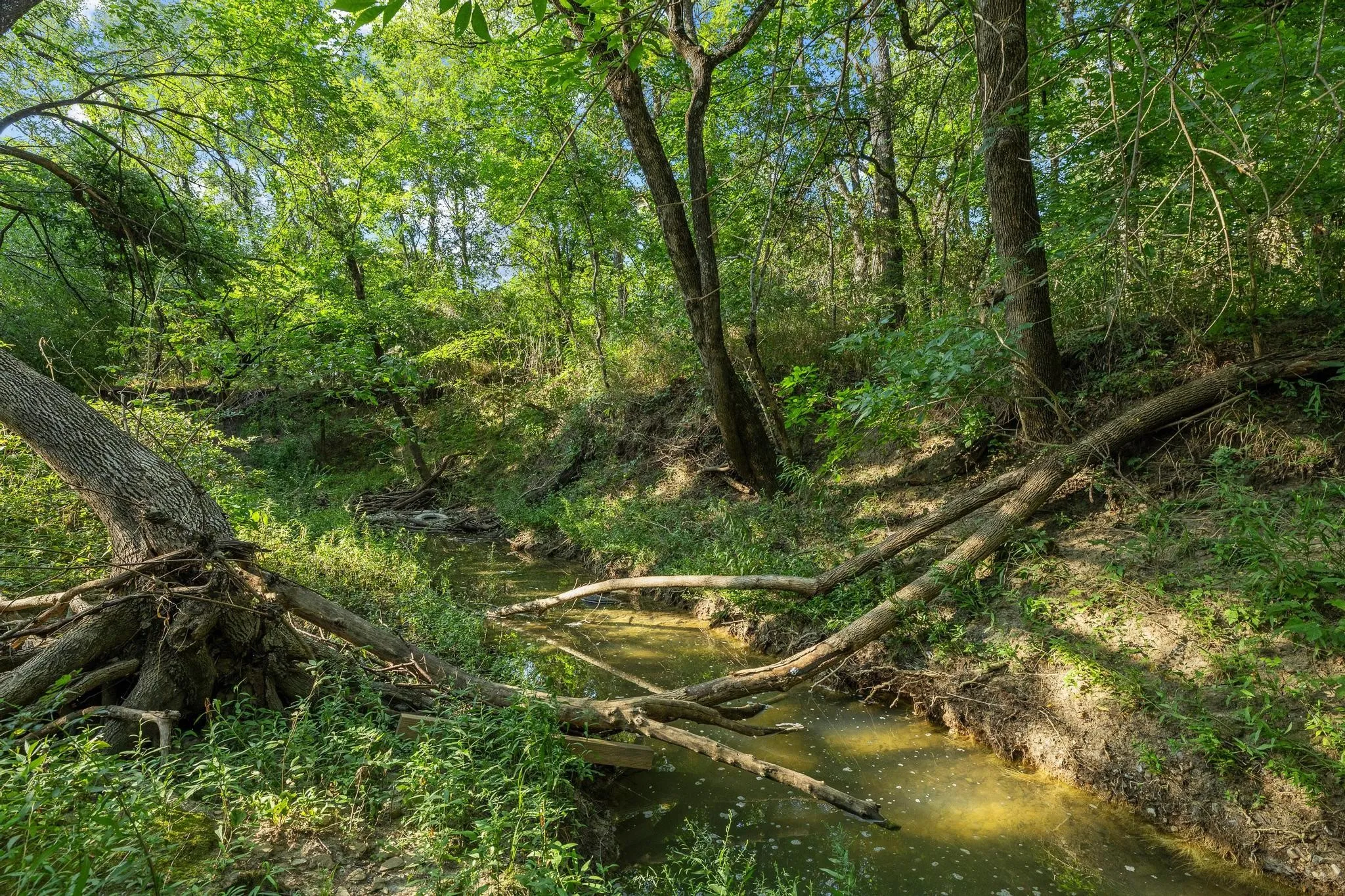Unimproved Land For Sale in Grayson County , TBD N Pecan St/U.S. Highway 69, Bells, Texas 75414, 0, 0, Garage spaces, 0 Sqft, built in 0, mls#21311228, Real Estate Agent in Bells, Homes For Sale in Grayson county, Homes For Sale in Bells, Realtor in Bells Texas, Real Estate Brokerage Independent Realty Texas, Luminita Cordes Realtor