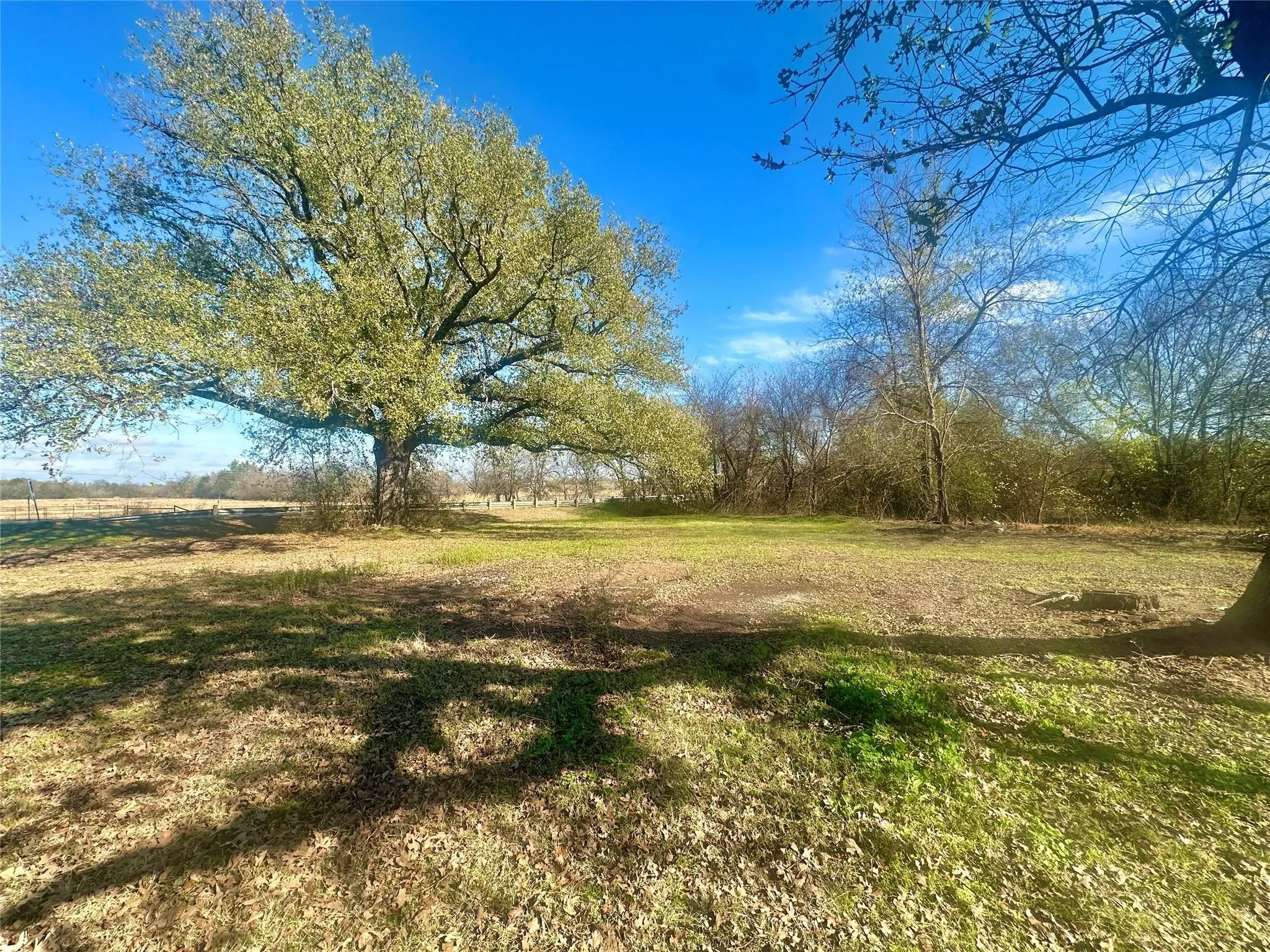 Improved Land For Sale in Hopkins County , TBD County Road 4824, Sulphur Springs, Texas 75482, 0, 0, Garage spaces, 0 Sqft, built in 0, mls#21322637, Real Estate Agent in Sulphur Springs, Homes For Sale in Hopkins county, Homes For Sale in Sulphur Springs, Realtor in Sulphur Springs Texas, Real Estate Brokerage Independent Realty Texas, Luminita Cordes Realtor