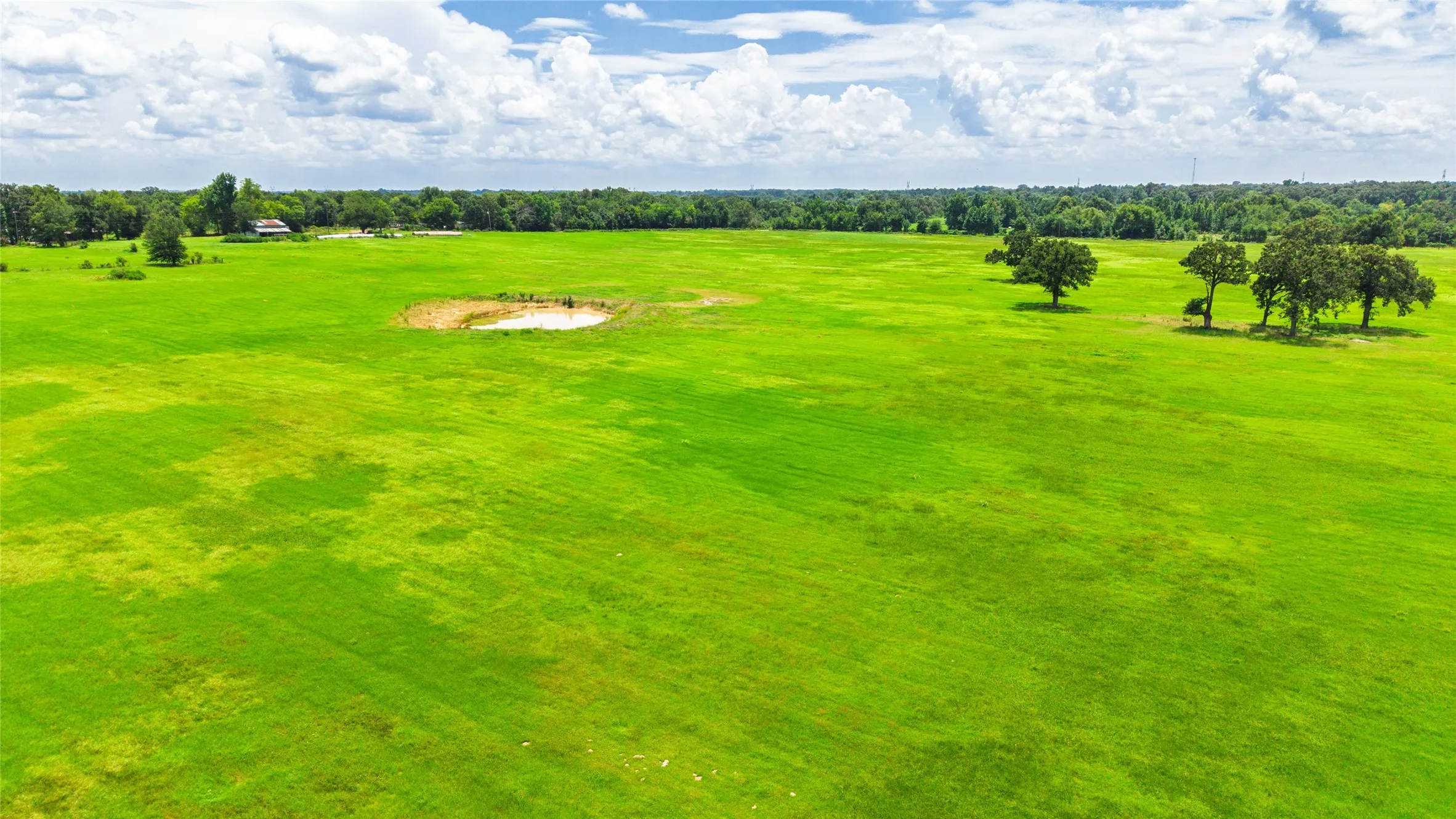 Improved Land For Sale in Hopkins County , 127 ac County Road 2314, Sulphur Springs, Texas 75482, 0, 0, Garage spaces, 0 Sqft, built in 0, mls#21320796, Real Estate Agent in Sulphur Springs, Homes For Sale in Hopkins county, Homes For Sale in Sulphur Springs, Realtor in Sulphur Springs Texas, Real Estate Brokerage Independent Realty Texas, Luminita Cordes Realtor