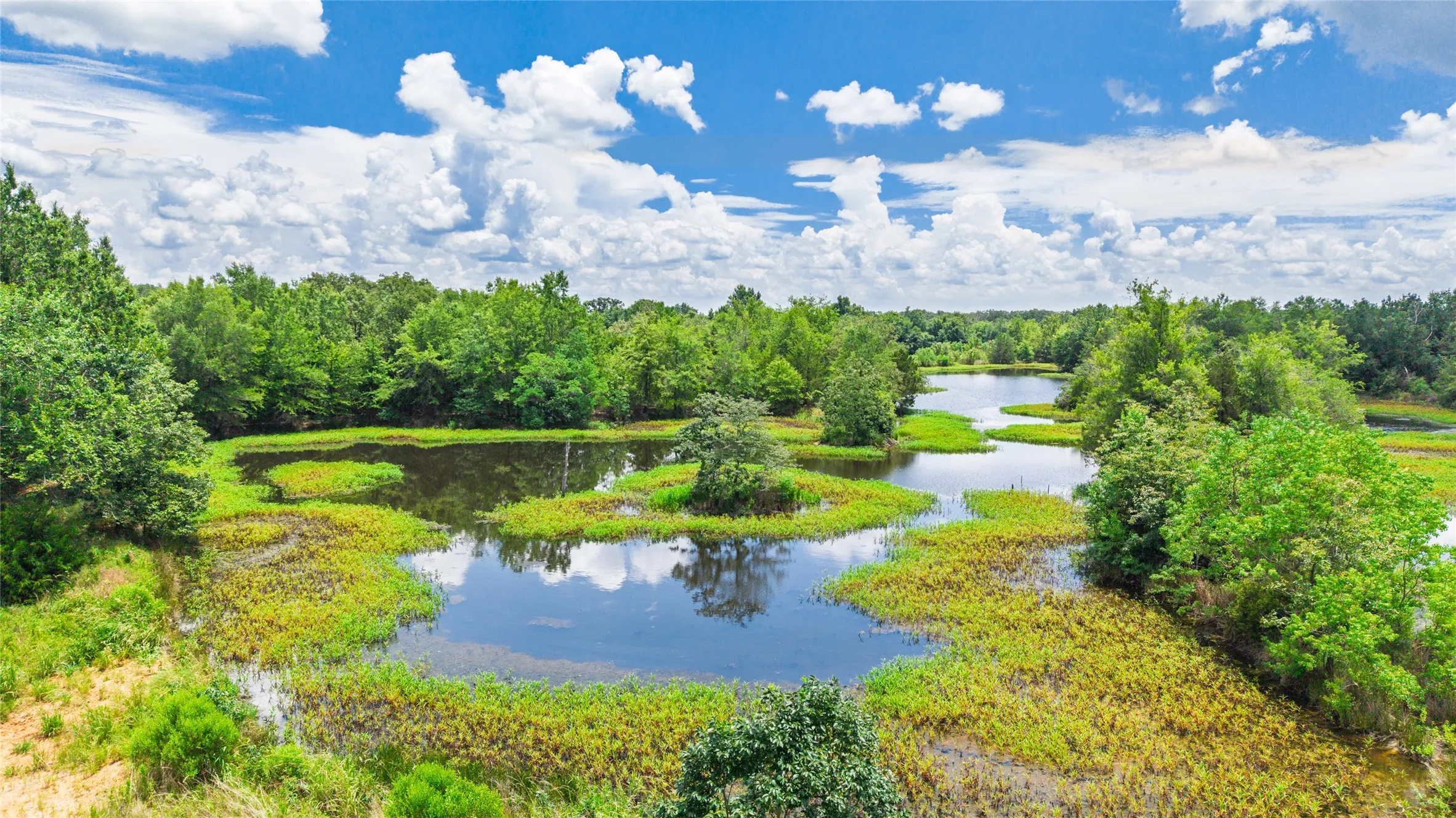 Improved Land For Sale in Hopkins County , 127 ac County Road 2314, Sulphur Springs, Texas 75482, 0, 0, Garage spaces, 0 Sqft, built in 0, mls#21320796, Real Estate Agent in Sulphur Springs, Homes For Sale in Hopkins county, Homes For Sale in Sulphur Springs, Realtor in Sulphur Springs Texas, Real Estate Brokerage Independent Realty Texas, Luminita Cordes Realtor