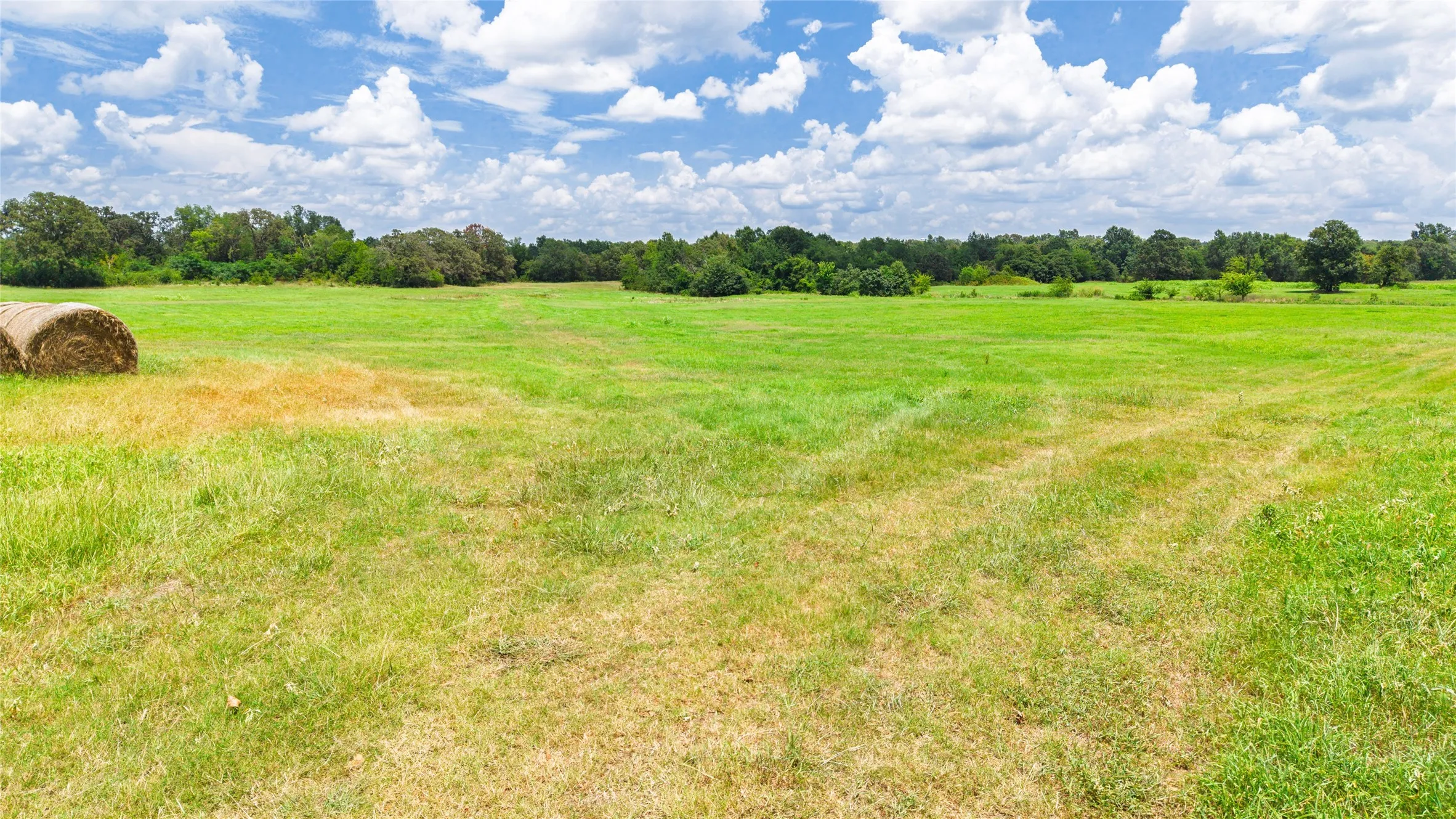 Improved Land For Sale in Hopkins County , 127 ac County Road 2314, Sulphur Springs, Texas 75482, 0, 0, Garage spaces, 0 Sqft, built in 0, mls#21320796, Real Estate Agent in Sulphur Springs, Homes For Sale in Hopkins county, Homes For Sale in Sulphur Springs, Realtor in Sulphur Springs Texas, Real Estate Brokerage Independent Realty Texas, Luminita Cordes Realtor