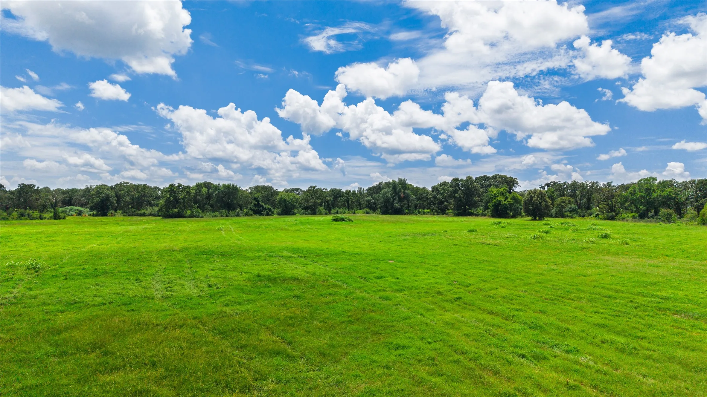 Improved Land For Sale in Hopkins County , 127 ac County Road 2314, Sulphur Springs, Texas 75482, 0, 0, Garage spaces, 0 Sqft, built in 0, mls#21320796, Real Estate Agent in Sulphur Springs, Homes For Sale in Hopkins county, Homes For Sale in Sulphur Springs, Realtor in Sulphur Springs Texas, Real Estate Brokerage Independent Realty Texas, Luminita Cordes Realtor