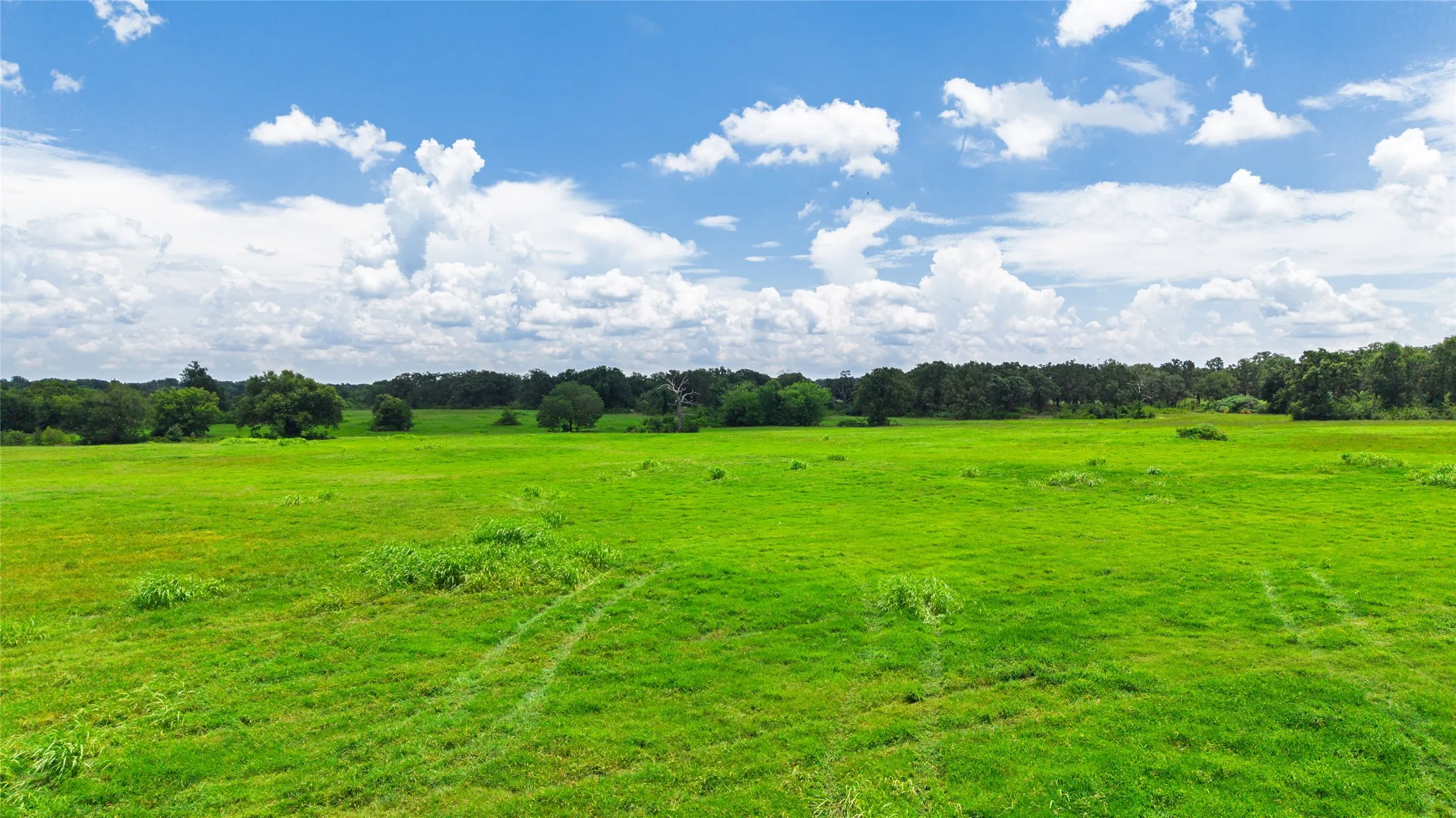 Improved Land For Sale in Hopkins County , 127 ac County Road 2314, Sulphur Springs, Texas 75482, 0, 0, Garage spaces, 0 Sqft, built in 0, mls#21320796, Real Estate Agent in Sulphur Springs, Homes For Sale in Hopkins county, Homes For Sale in Sulphur Springs, Realtor in Sulphur Springs Texas, Real Estate Brokerage Independent Realty Texas, Luminita Cordes Realtor