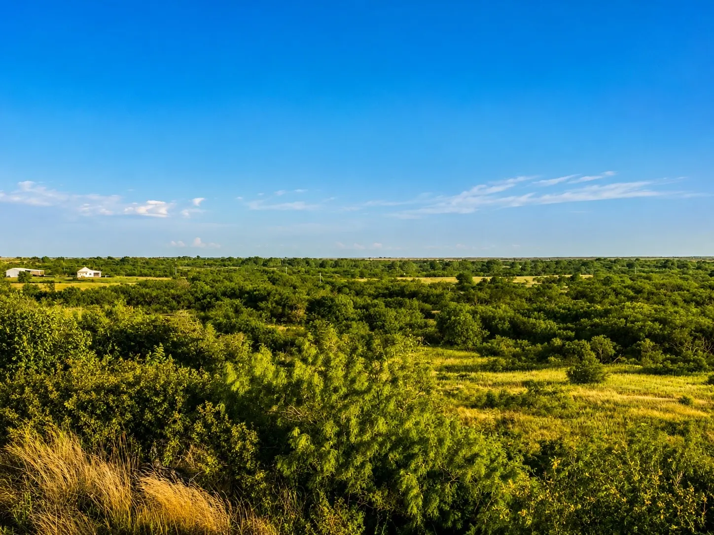 Improved Land For Sale in Montague County , 551 Blevins Road, Nocona, Texas 76255, 0, 0, Garage spaces, 0 Sqft, built in 0, mls#21322415, Real Estate Agent in Nocona, Homes For Sale in Montague county, Homes For Sale in Nocona, Realtor in Nocona Texas, Real Estate Brokerage Independent Realty Texas, Luminita Cordes Realtor