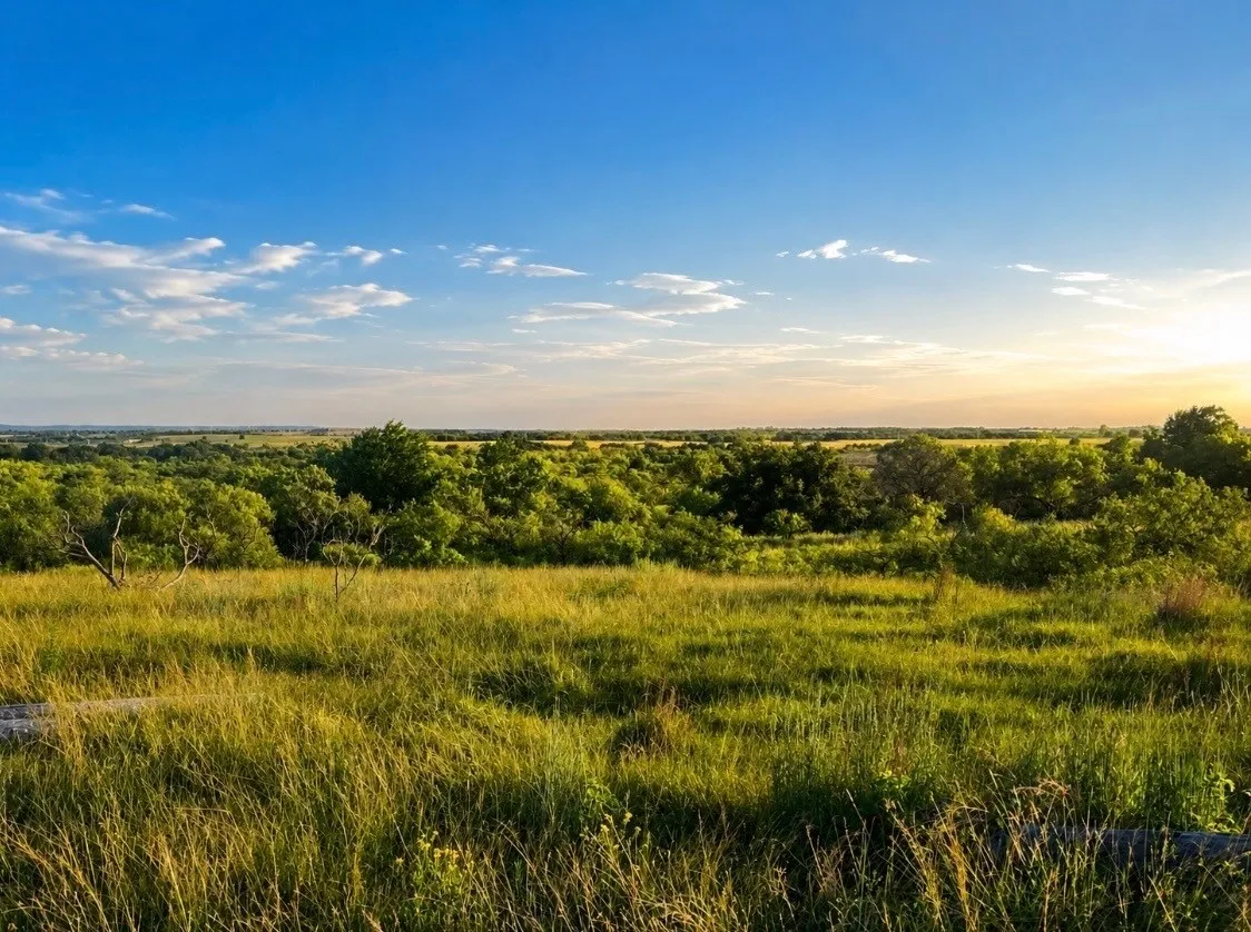 Improved Land For Sale in Montague County , 551 Blevins Road, Nocona, Texas 76255, 0, 0, Garage spaces, 0 Sqft, built in 0, mls#21322415, Real Estate Agent in Nocona, Homes For Sale in Montague county, Homes For Sale in Nocona, Realtor in Nocona Texas, Real Estate Brokerage Independent Realty Texas, Luminita Cordes Realtor