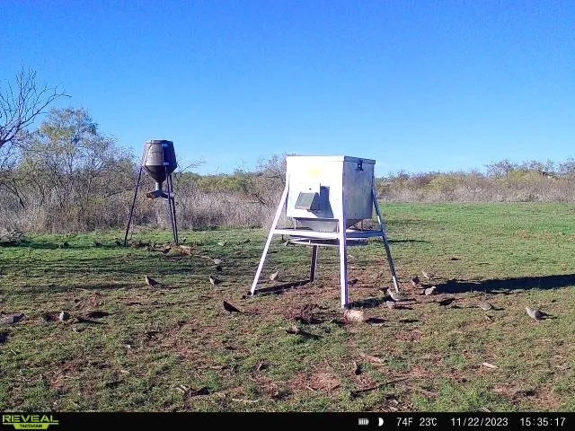 Improved Land For Sale in Montague County , 551 Blevins Road, Nocona, Texas 76255, 0, 0, Garage spaces, 0 Sqft, built in 0, mls#21322415, Real Estate Agent in Nocona, Homes For Sale in Montague county, Homes For Sale in Nocona, Realtor in Nocona Texas, Real Estate Brokerage Independent Realty Texas, Luminita Cordes Realtor
