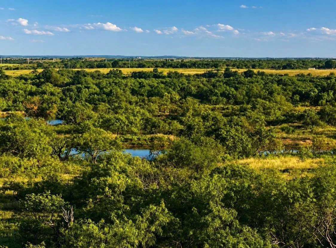 Improved Land For Sale in Montague County , 551 Blevins Road, Nocona, Texas 76255, 0, 0, Garage spaces, 0 Sqft, built in 0, mls#21322415, Real Estate Agent in Nocona, Homes For Sale in Montague county, Homes For Sale in Nocona, Realtor in Nocona Texas, Real Estate Brokerage Independent Realty Texas, Luminita Cordes Realtor