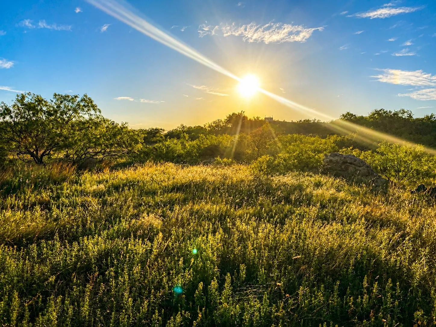 Improved Land For Sale in Montague County , 551 Blevins Road, Nocona, Texas 76255, 0, 0, Garage spaces, 0 Sqft, built in 0, mls#21322415, Real Estate Agent in Nocona, Homes For Sale in Montague county, Homes For Sale in Nocona, Realtor in Nocona Texas, Real Estate Brokerage Independent Realty Texas, Luminita Cordes Realtor