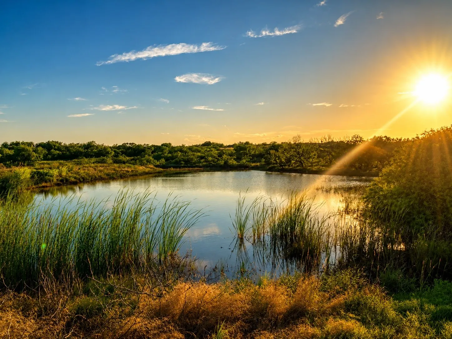 Improved Land For Sale in Montague County , 551 Blevins Road, Nocona, Texas 76255, 0, 0, Garage spaces, 0 Sqft, built in 0, mls#21322415, Real Estate Agent in Nocona, Homes For Sale in Montague county, Homes For Sale in Nocona, Realtor in Nocona Texas, Real Estate Brokerage Independent Realty Texas, Luminita Cordes Realtor