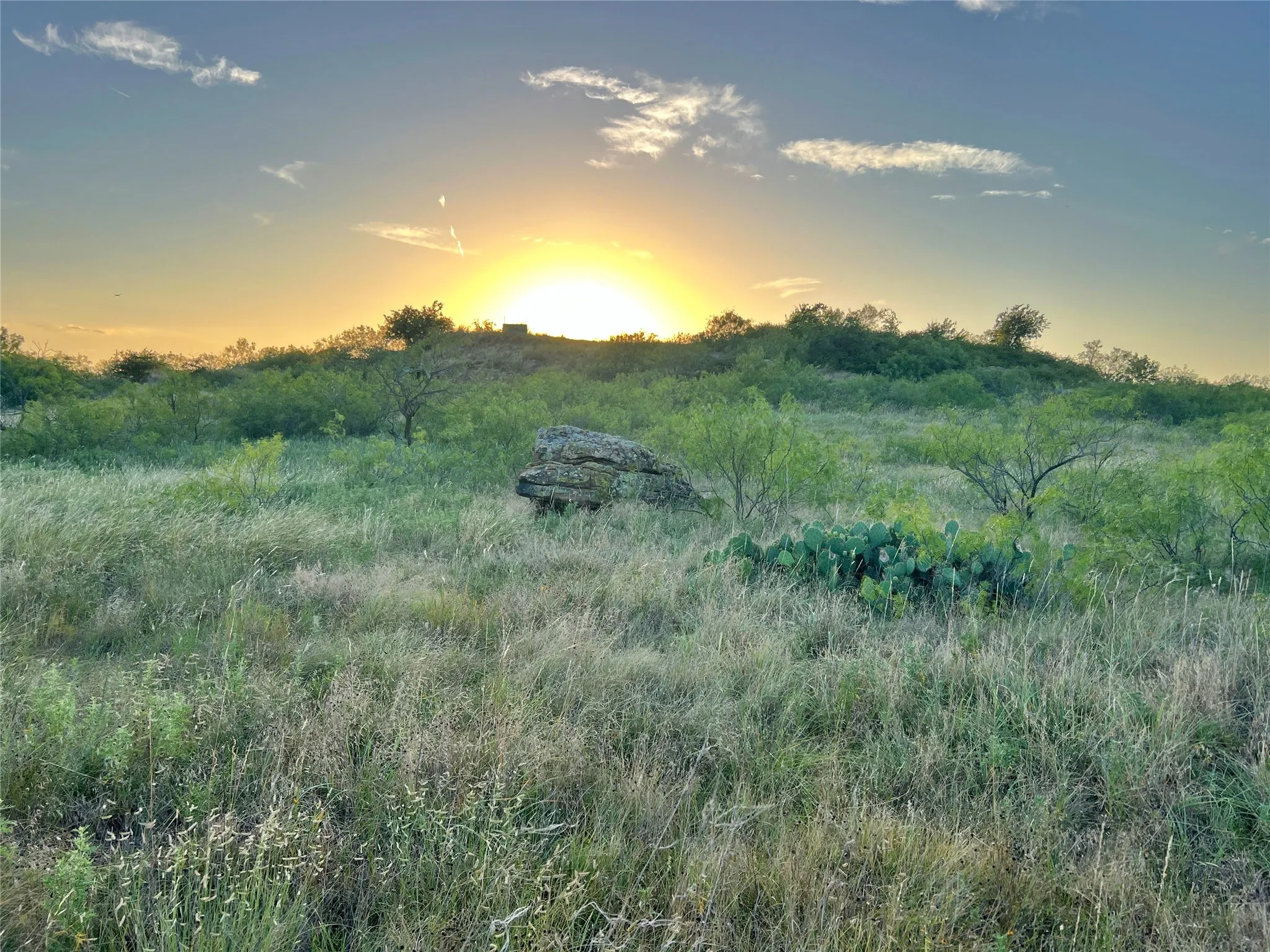 Improved Land For Sale in Montague County , 551 Blevins Road, Nocona, Texas 76255, 0, 0, Garage spaces, 0 Sqft, built in 0, mls#21322415, Real Estate Agent in Nocona, Homes For Sale in Montague county, Homes For Sale in Nocona, Realtor in Nocona Texas, Real Estate Brokerage Independent Realty Texas, Luminita Cordes Realtor