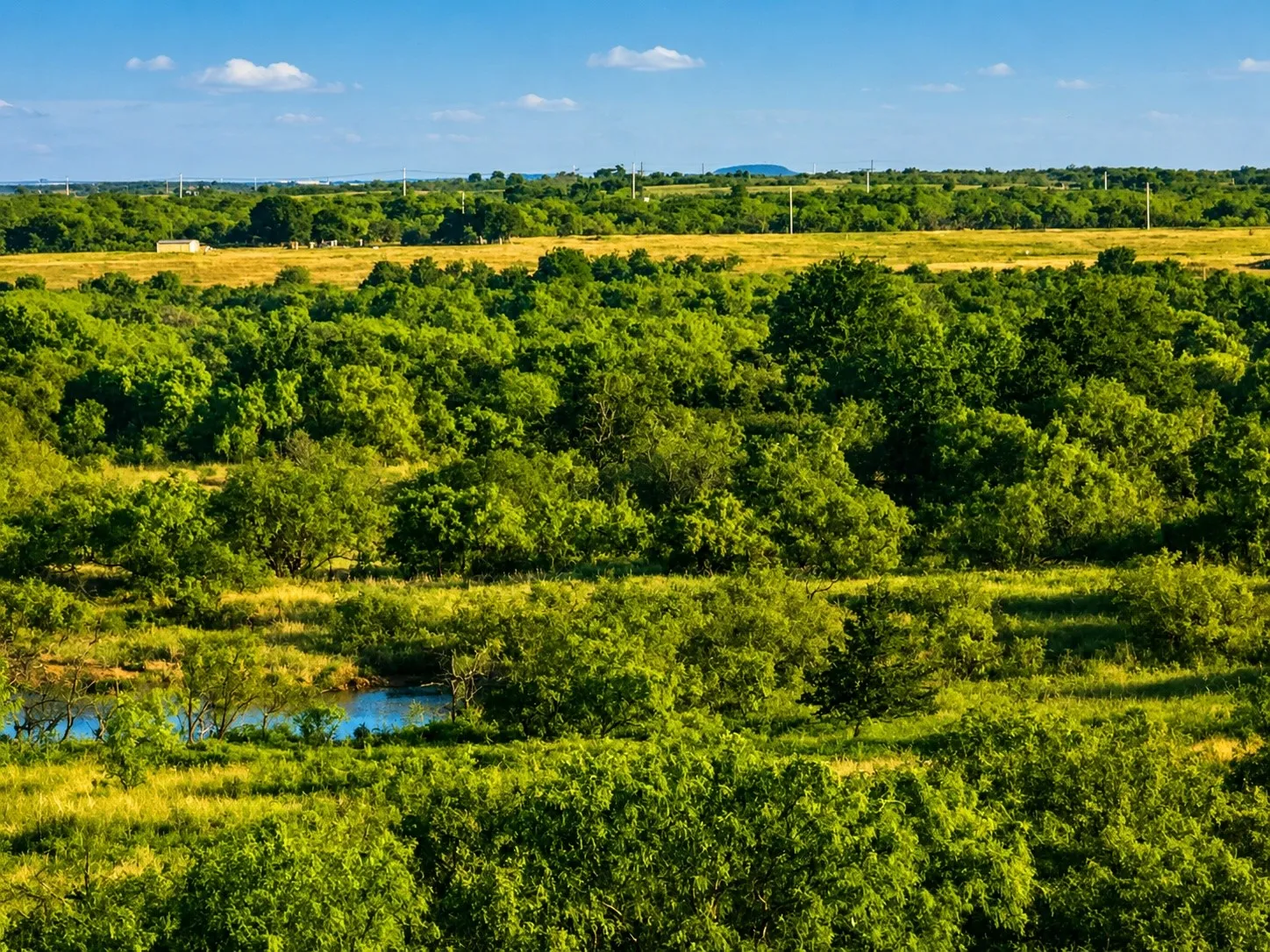 Improved Land For Sale in Montague County , 551 Blevins Road, Nocona, Texas 76255, 0, 0, Garage spaces, 0 Sqft, built in 0, mls#21322415, Real Estate Agent in Nocona, Homes For Sale in Montague county, Homes For Sale in Nocona, Realtor in Nocona Texas, Real Estate Brokerage Independent Realty Texas, Luminita Cordes Realtor