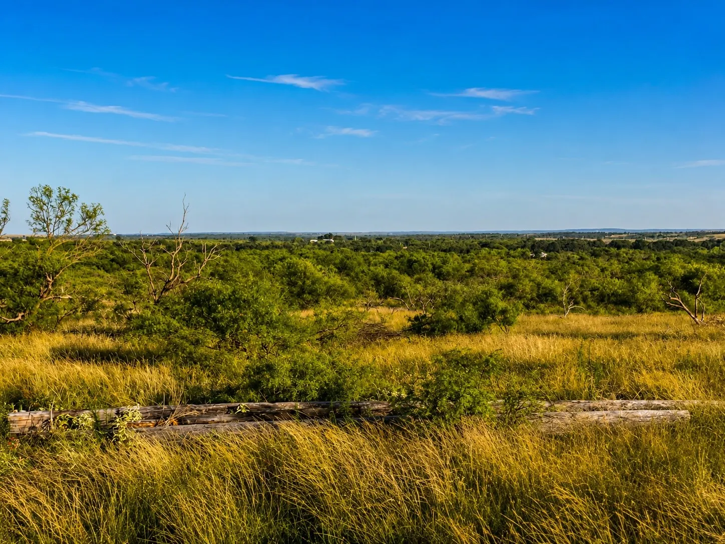 Improved Land For Sale in Montague County , 551 Blevins Road, Nocona, Texas 76255, 0, 0, Garage spaces, 0 Sqft, built in 0, mls#21322415, Real Estate Agent in Nocona, Homes For Sale in Montague county, Homes For Sale in Nocona, Realtor in Nocona Texas, Real Estate Brokerage Independent Realty Texas, Luminita Cordes Realtor