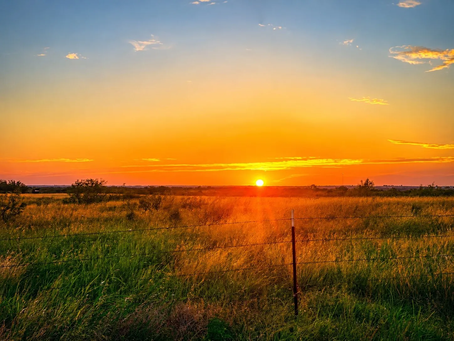 Improved Land For Sale in Montague County , 551 Blevins Road, Nocona, Texas 76255, 0, 0, Garage spaces, 0 Sqft, built in 0, mls#21322415, Real Estate Agent in Nocona, Homes For Sale in Montague county, Homes For Sale in Nocona, Realtor in Nocona Texas, Real Estate Brokerage Independent Realty Texas, Luminita Cordes Realtor