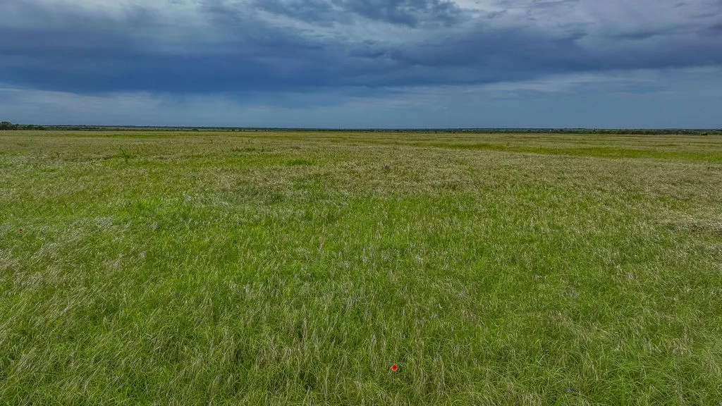 Native pasture with mesquite mottes, wildflowers and natural cover for whitetail deer, dove and quail. It's prime Central Texas hunting land and grazing.