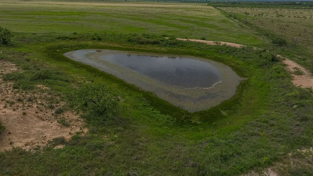 One of two stock tanks on the ranch, surrounded by native brush and open pasture. It provides water for cattle, horses and wildlife, with hay fields and the homestead in view.