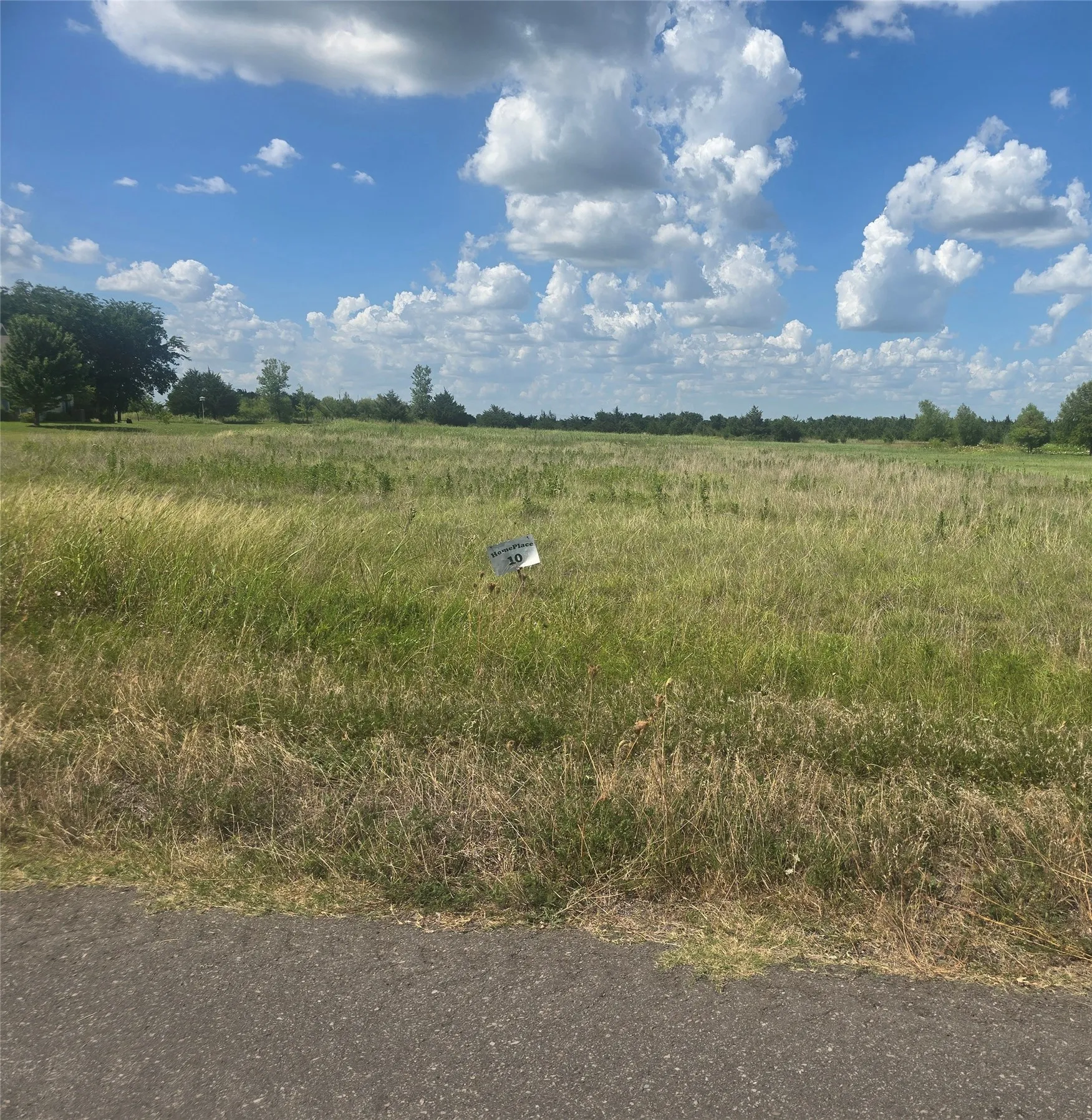 Unimproved Land For Sale in Hunt County , Lot #10 Blueberry Hill Road, Greenville, Texas 75401, 0, 0, Garage spaces, 0 Sqft, built in 0, mls#21321363, Real Estate Agent in Greenville, Homes For Sale in Hunt county, Homes For Sale in Greenville, Realtor in Greenville Texas, Real Estate Brokerage Independent Realty Texas, Luminita Cordes Realtor
