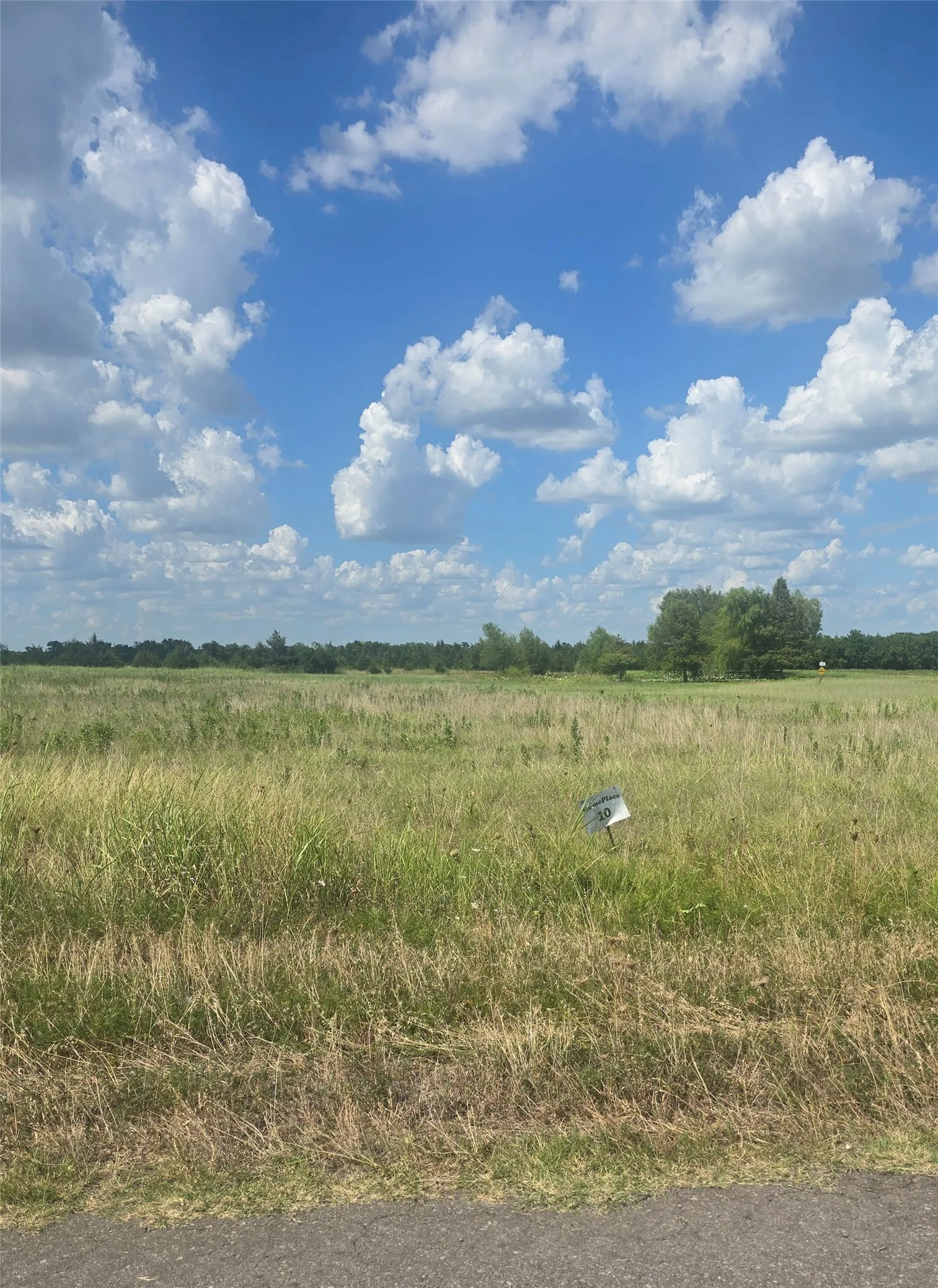 Unimproved Land For Sale in Hunt County , Lot #10 Blueberry Hill Road, Greenville, Texas 75401, 0, 0, Garage spaces, 0 Sqft, built in 0, mls#21321363, Real Estate Agent in Greenville, Homes For Sale in Hunt county, Homes For Sale in Greenville, Realtor in Greenville Texas, Real Estate Brokerage Independent Realty Texas, Luminita Cordes Realtor