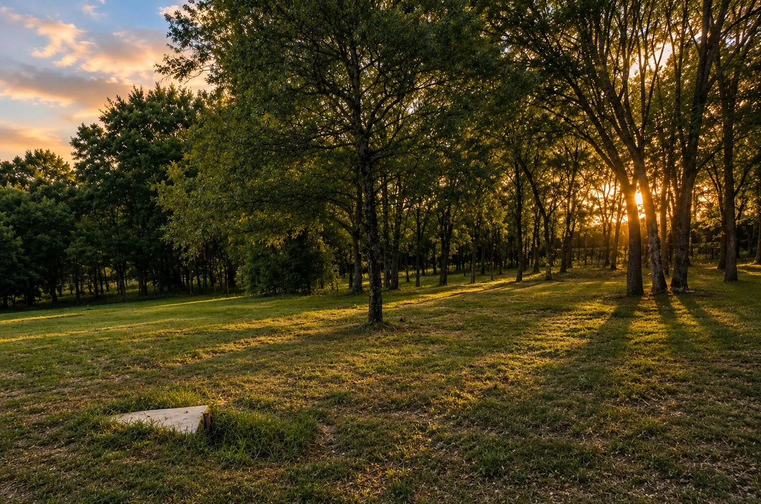 Unimproved Land For Sale in Grayson County , 0000 Tee Taw Circle, Sherman, Texas 75092, 0, 0, Garage spaces, 0 Sqft, built in 1900, mls#21308681, Real Estate Agent in Sherman, Homes For Sale in Grayson county, Homes For Sale in Sherman, Realtor in Sherman Texas, Real Estate Brokerage Independent Realty Texas, Luminita Cordes Realtor