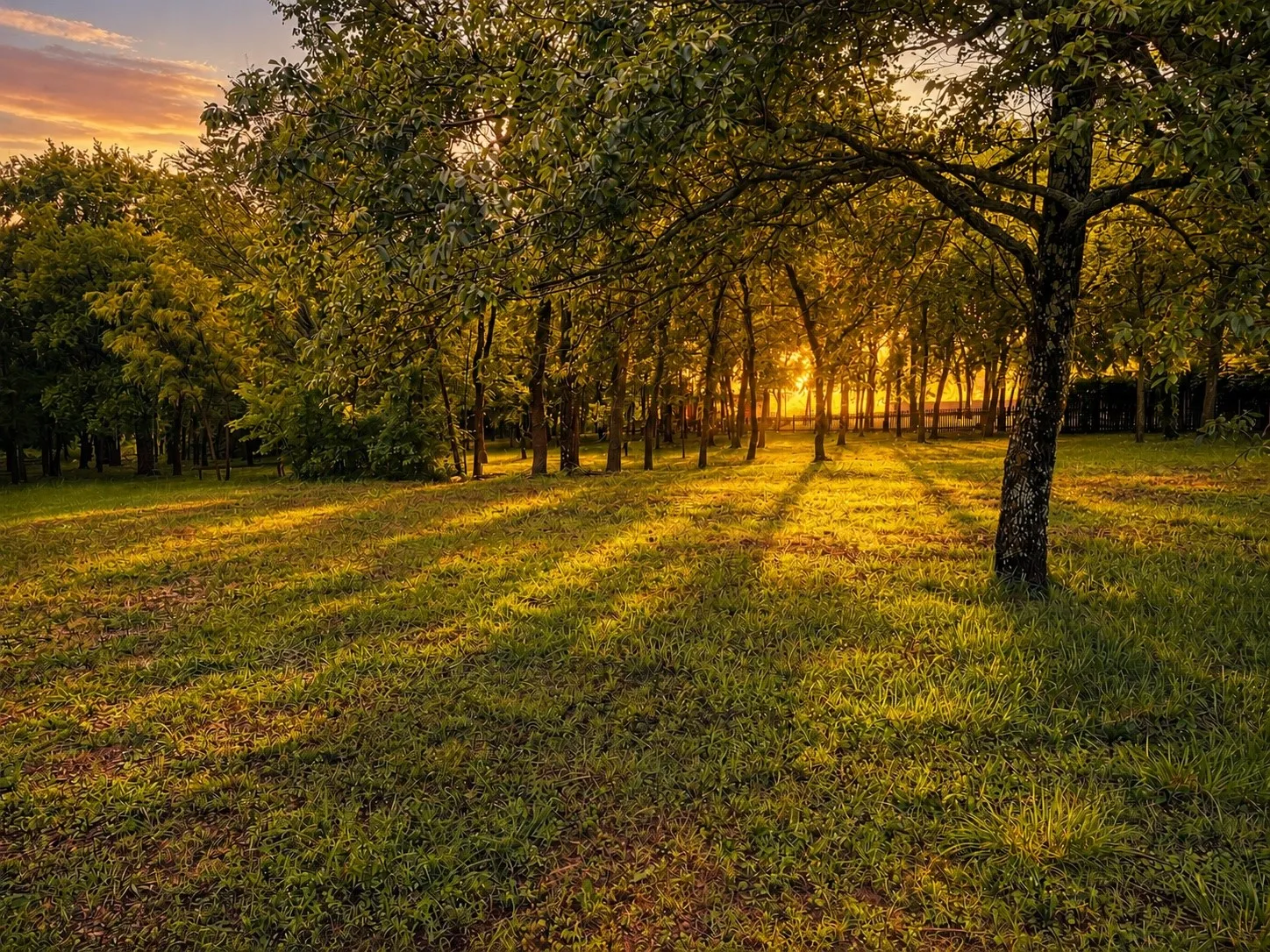 Unimproved Land For Sale in Grayson County , 0000 Tee Taw Circle, Sherman, Texas 75092, 0, 0, Garage spaces, 0 Sqft, built in 1900, mls#21308681, Real Estate Agent in Sherman, Homes For Sale in Grayson county, Homes For Sale in Sherman, Realtor in Sherman Texas, Real Estate Brokerage Independent Realty Texas, Luminita Cordes Realtor