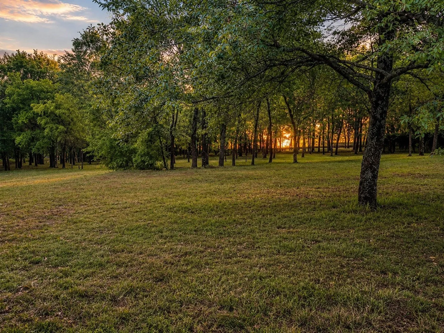 Unimproved Land For Sale in Grayson County , 0000 Tee Taw Circle, Sherman, Texas 75092, 0, 0, Garage spaces, 0 Sqft, built in 1900, mls#21308681, Real Estate Agent in Sherman, Homes For Sale in Grayson county, Homes For Sale in Sherman, Realtor in Sherman Texas, Real Estate Brokerage Independent Realty Texas, Luminita Cordes Realtor