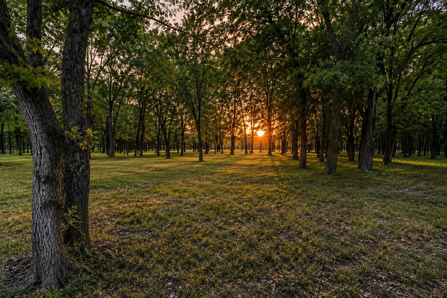Unimproved Land For Sale in Grayson County , 0000 Tee Taw Circle, Sherman, Texas 75092, 0, 0, Garage spaces, 0 Sqft, built in 1900, mls#21308681, Real Estate Agent in Sherman, Homes For Sale in Grayson county, Homes For Sale in Sherman, Realtor in Sherman Texas, Real Estate Brokerage Independent Realty Texas, Luminita Cordes Realtor