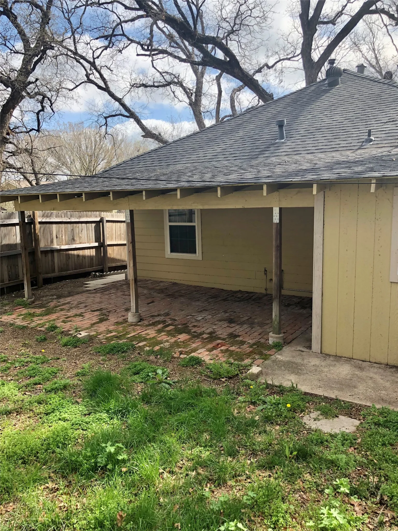 back yard