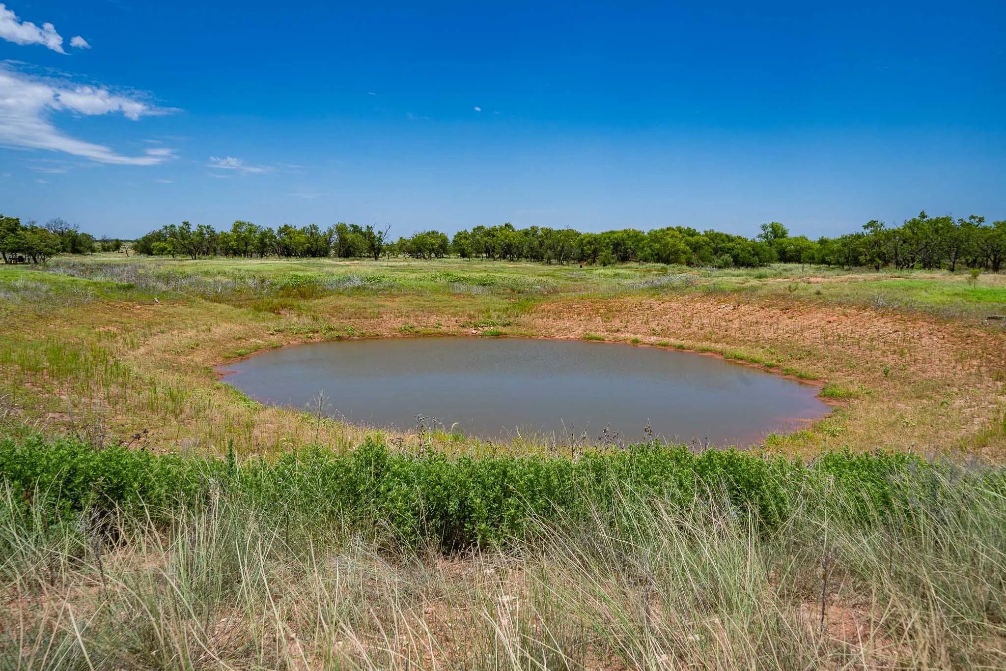 Ranch For Sale in Jones County , 3599 County Road 413, Anson, Texas 79501, 0, 0, Garage spaces, 0 Sqft, built in 0, Price $1,709,793, mls#21322782, Real Estate Agent in Anson, Homes For Sale in Jones county, Homes For Sale in Anson, Realtor in Anson Texas, Real Estate Brokerage Independent Realty Texas, Luminita Cordes Realtor