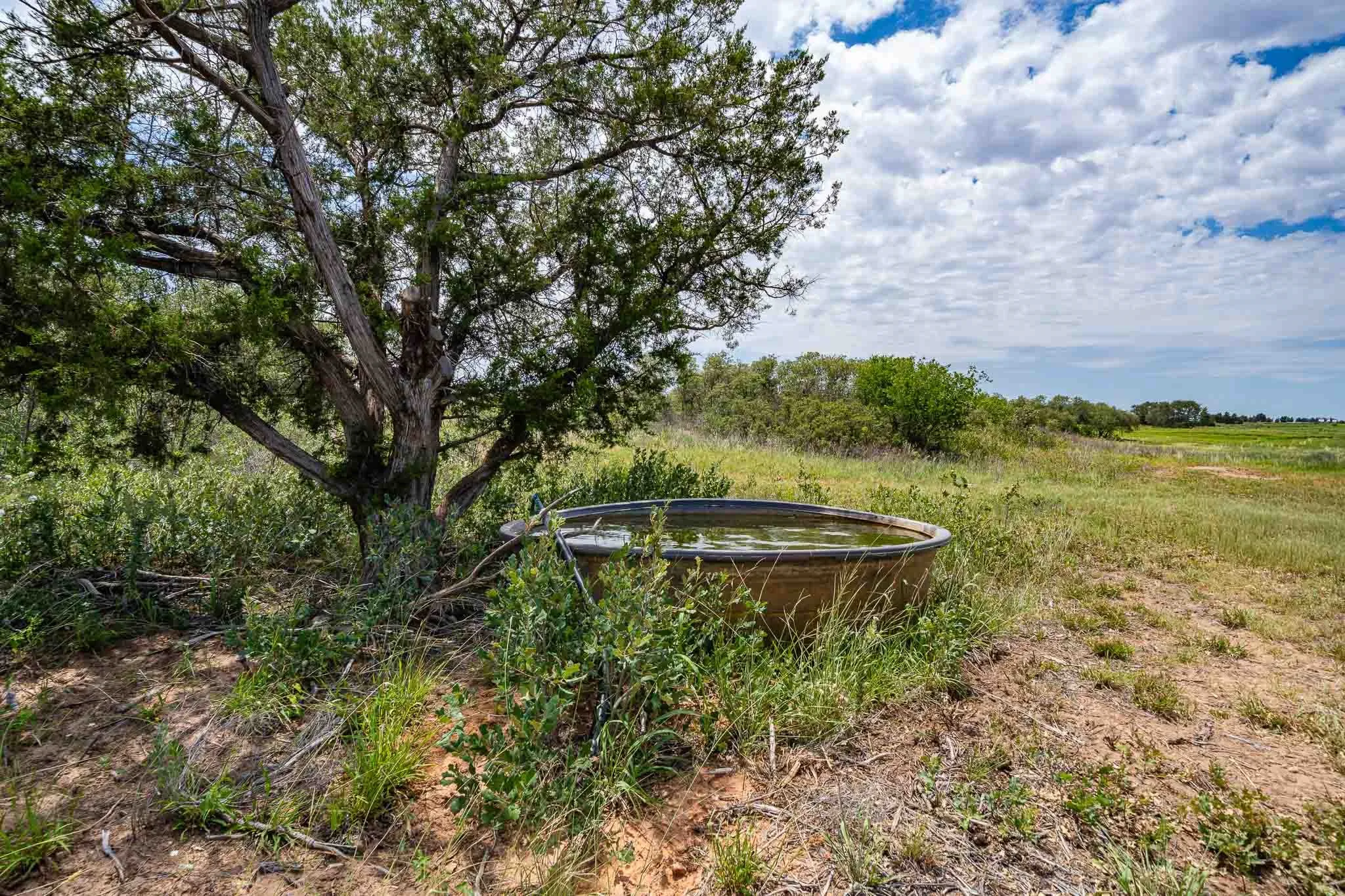 One of the watering stations