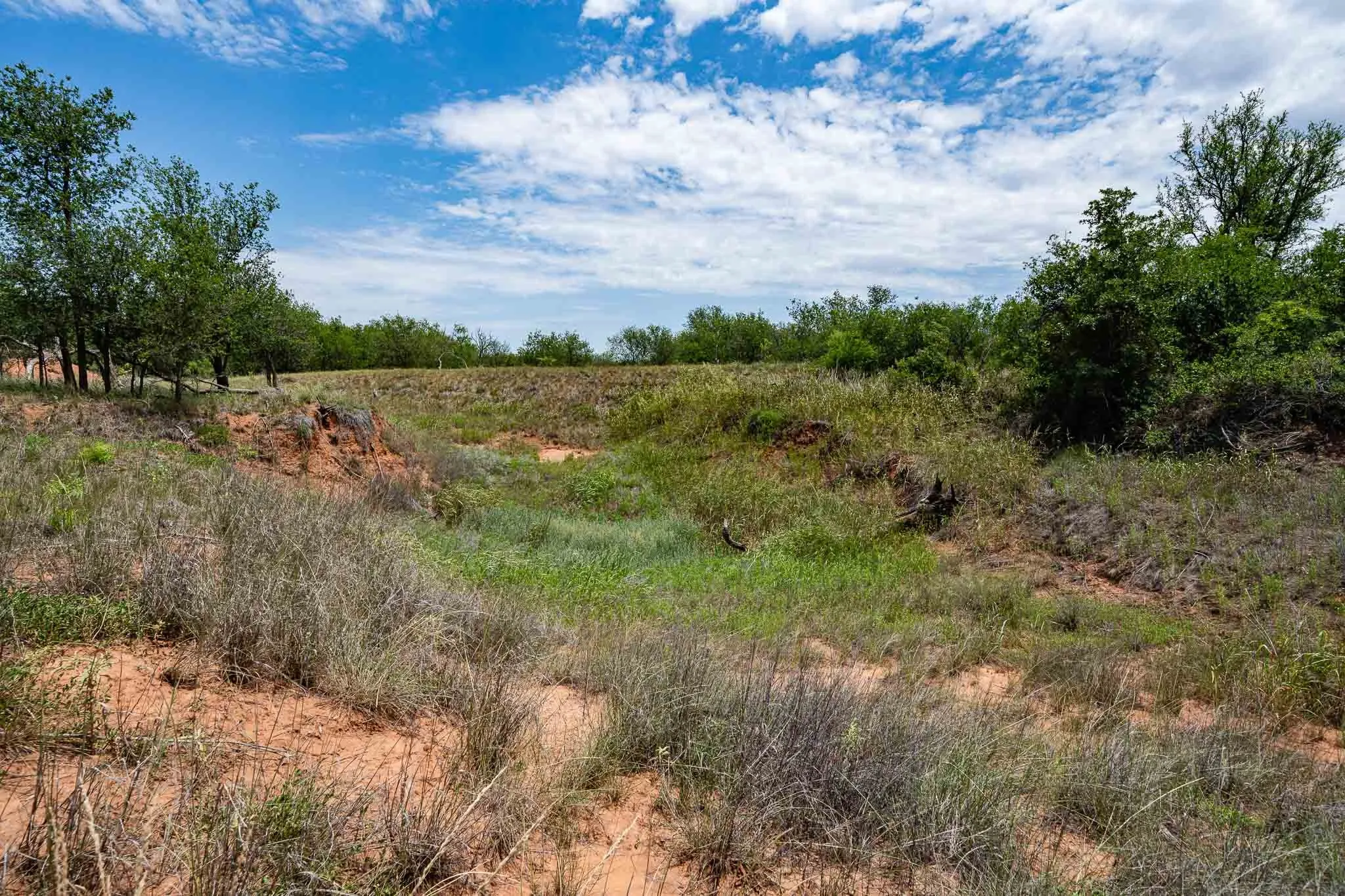 Ranch For Sale in Jones County , 3599 County Road 413, Anson, Texas 79501, 0, 0, Garage spaces, 0 Sqft, built in 0, Price $1,709,793, mls#21322782, Real Estate Agent in Anson, Homes For Sale in Jones county, Homes For Sale in Anson, Realtor in Anson Texas, Real Estate Brokerage Independent Realty Texas, Luminita Cordes Realtor