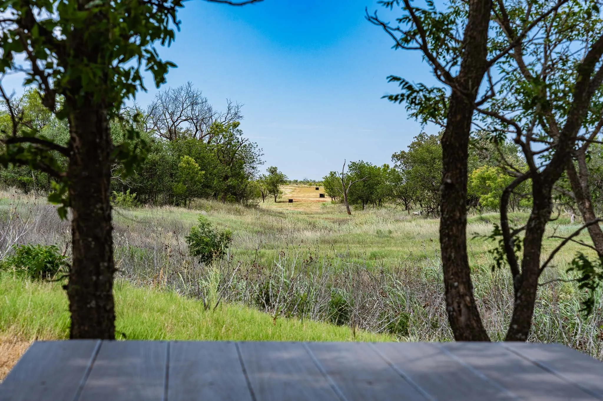 Ranch For Sale in Jones County , 3599 County Road 413, Anson, Texas 79501, 0, 0, Garage spaces, 0 Sqft, built in 0, Price $1,709,793, mls#21322782, Real Estate Agent in Anson, Homes For Sale in Jones county, Homes For Sale in Anson, Realtor in Anson Texas, Real Estate Brokerage Independent Realty Texas, Luminita Cordes Realtor