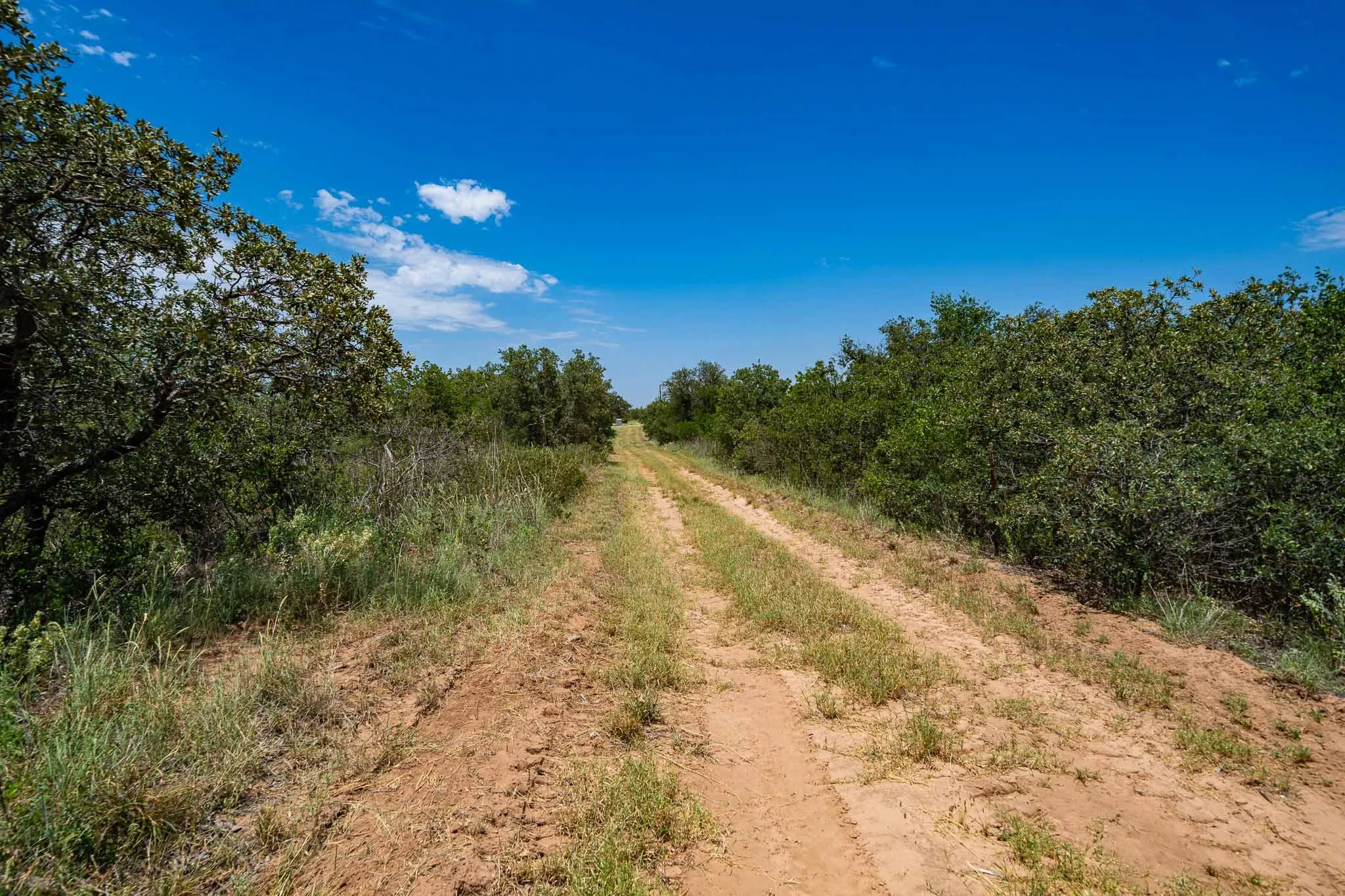 Ranch For Sale in Jones County , 3599 County Road 413, Anson, Texas 79501, 0, 0, Garage spaces, 0 Sqft, built in 0, Price $1,709,793, mls#21322782, Real Estate Agent in Anson, Homes For Sale in Jones county, Homes For Sale in Anson, Realtor in Anson Texas, Real Estate Brokerage Independent Realty Texas, Luminita Cordes Realtor