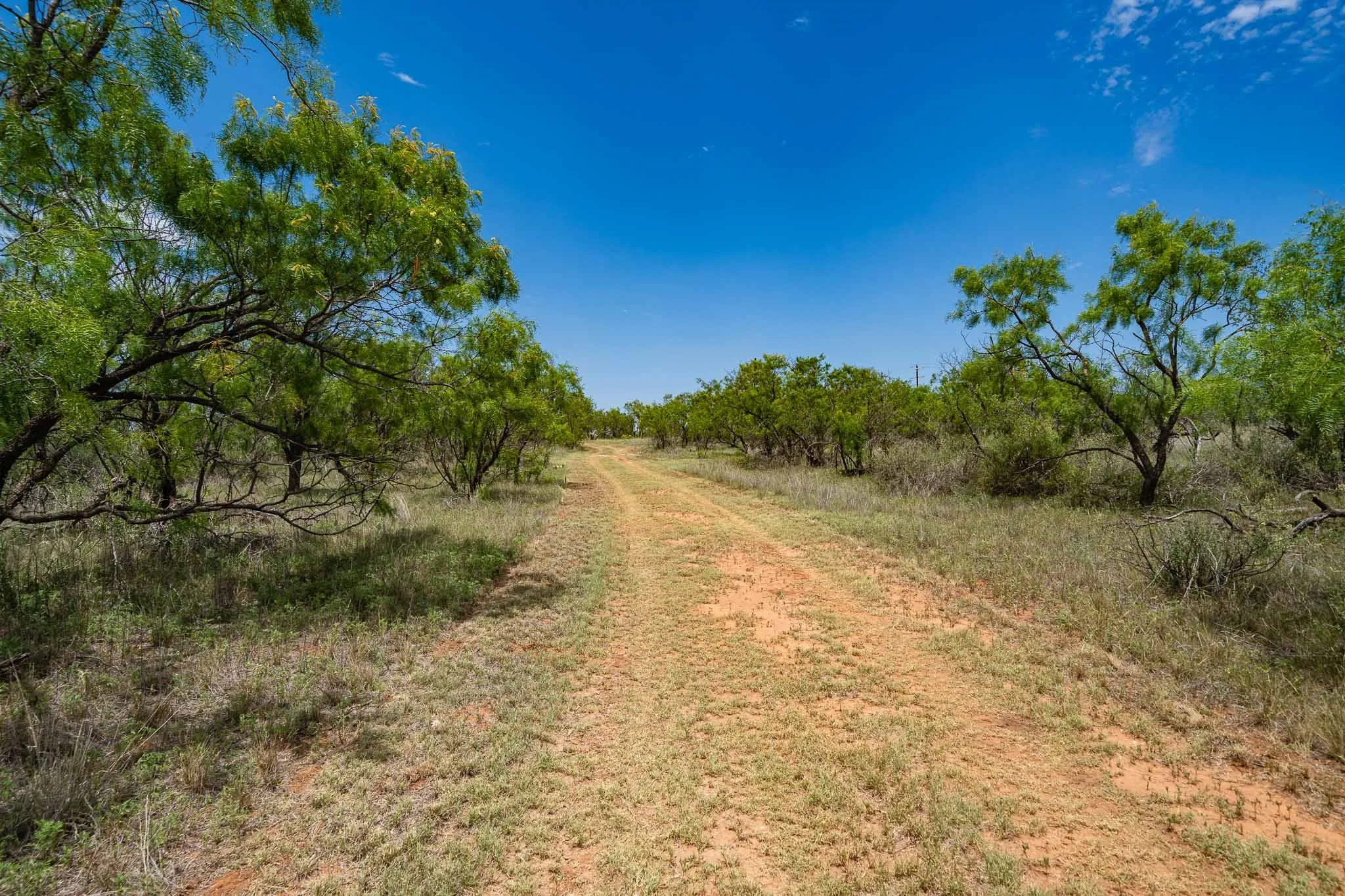 Ranch For Sale in Jones County , 3599 County Road 413, Anson, Texas 79501, 0, 0, Garage spaces, 0 Sqft, built in 0, Price $1,709,793, mls#21322782, Real Estate Agent in Anson, Homes For Sale in Jones county, Homes For Sale in Anson, Realtor in Anson Texas, Real Estate Brokerage Independent Realty Texas, Luminita Cordes Realtor