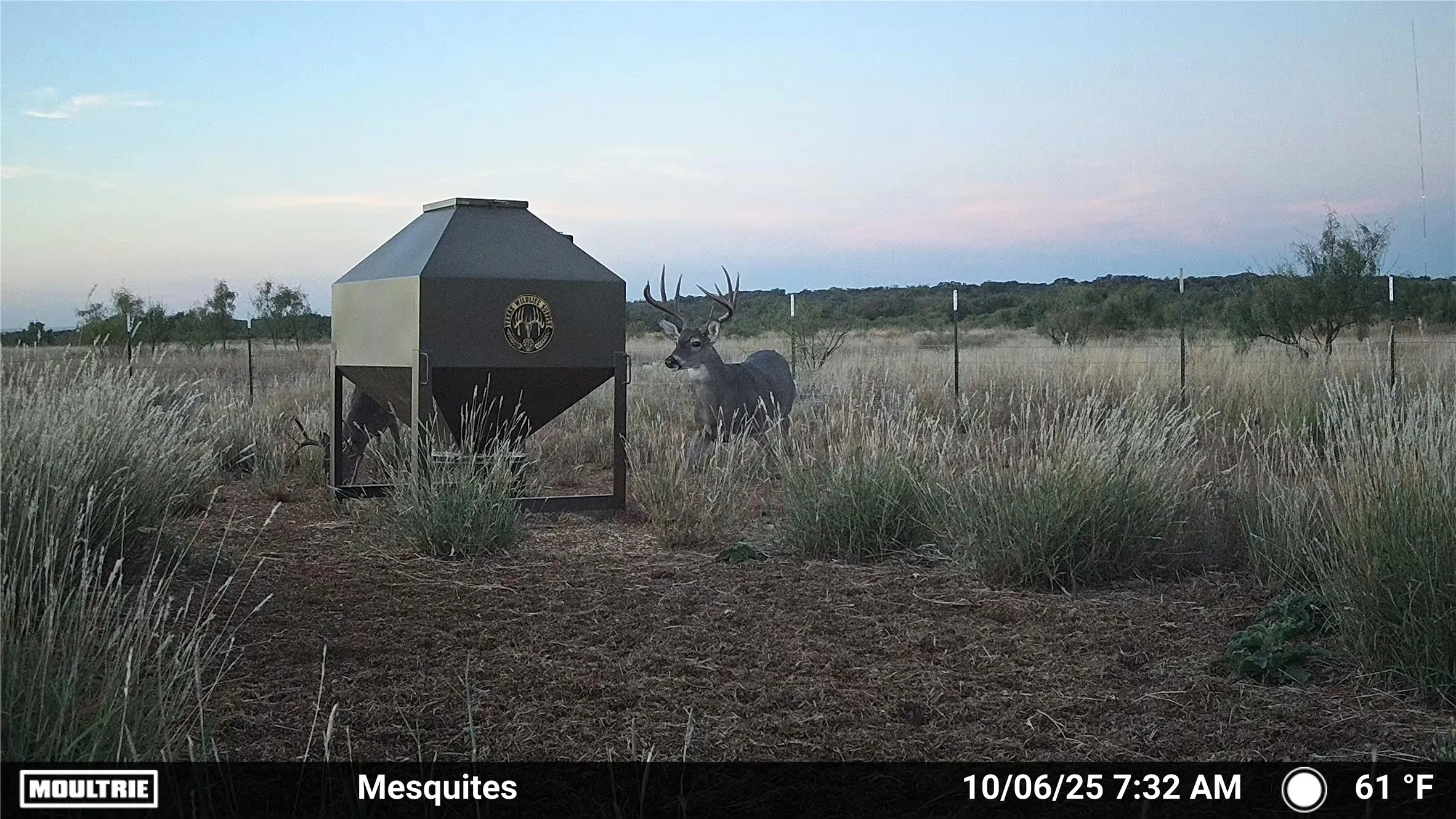 Ranch For Sale in Jones County , 3599 County Road 413, Anson, Texas 79501, 0, 0, Garage spaces, 0 Sqft, built in 0, Price $1,709,793, mls#21322782, Real Estate Agent in Anson, Homes For Sale in Jones county, Homes For Sale in Anson, Realtor in Anson Texas, Real Estate Brokerage Independent Realty Texas, Luminita Cordes Realtor