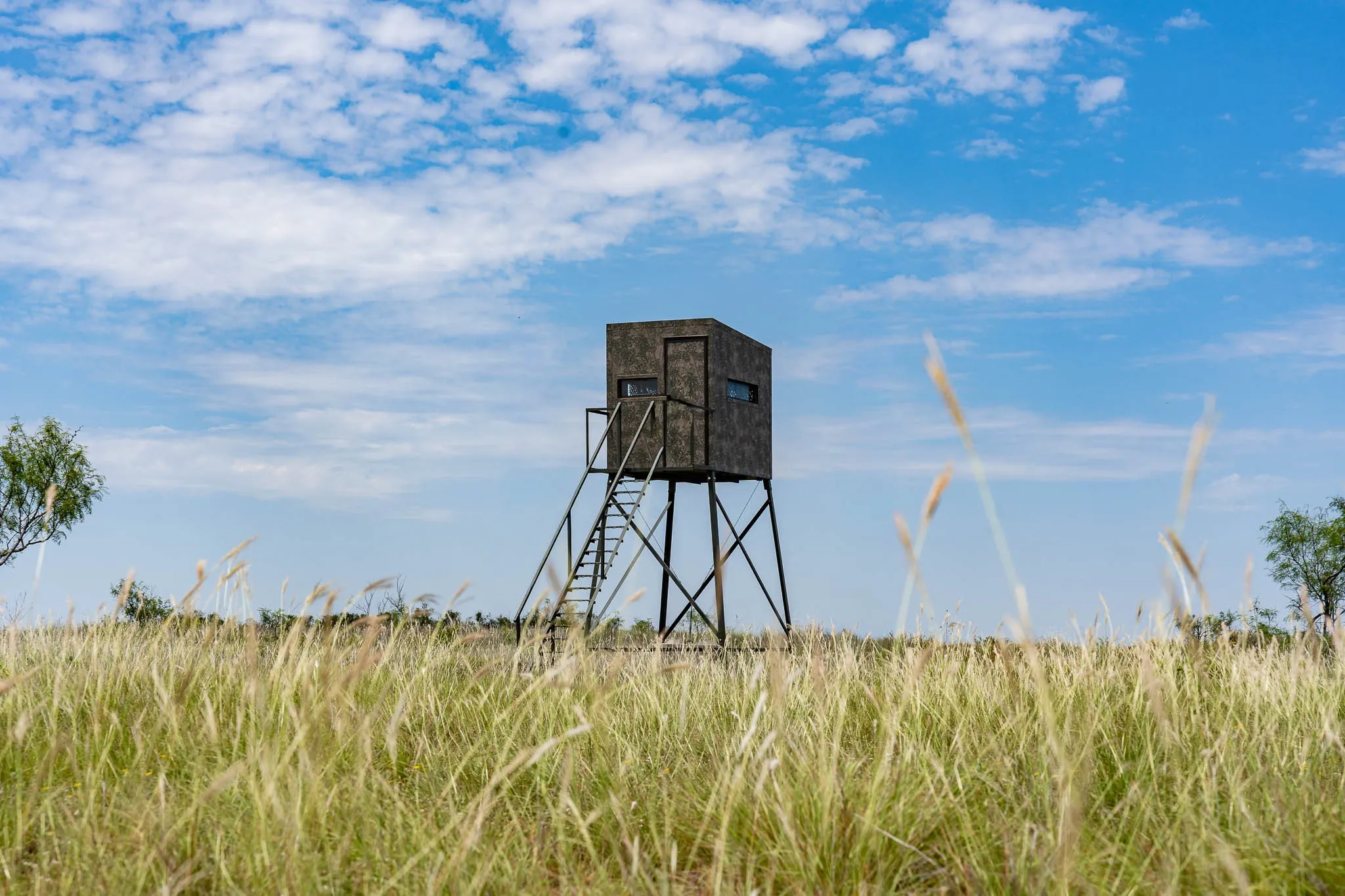 Ranch For Sale in Jones County , 3599 County Road 413, Anson, Texas 79501, 0, 0, Garage spaces, 0 Sqft, built in 0, Price $1,709,793, mls#21322782, Real Estate Agent in Anson, Homes For Sale in Jones county, Homes For Sale in Anson, Realtor in Anson Texas, Real Estate Brokerage Independent Realty Texas, Luminita Cordes Realtor