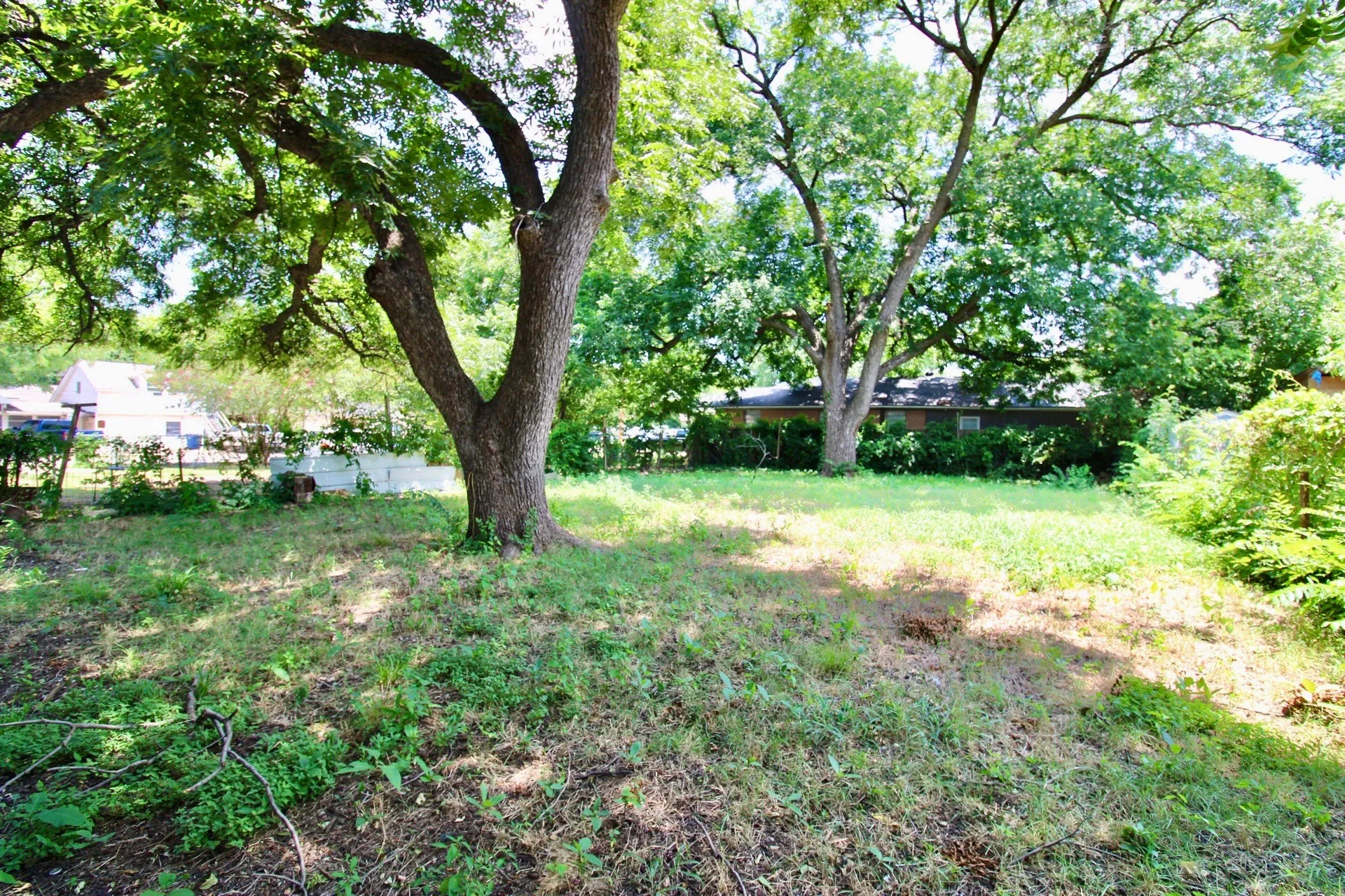 Expansive lot featuring mature trees providing ample shade, partially cleared ground cover, and natural surroundings