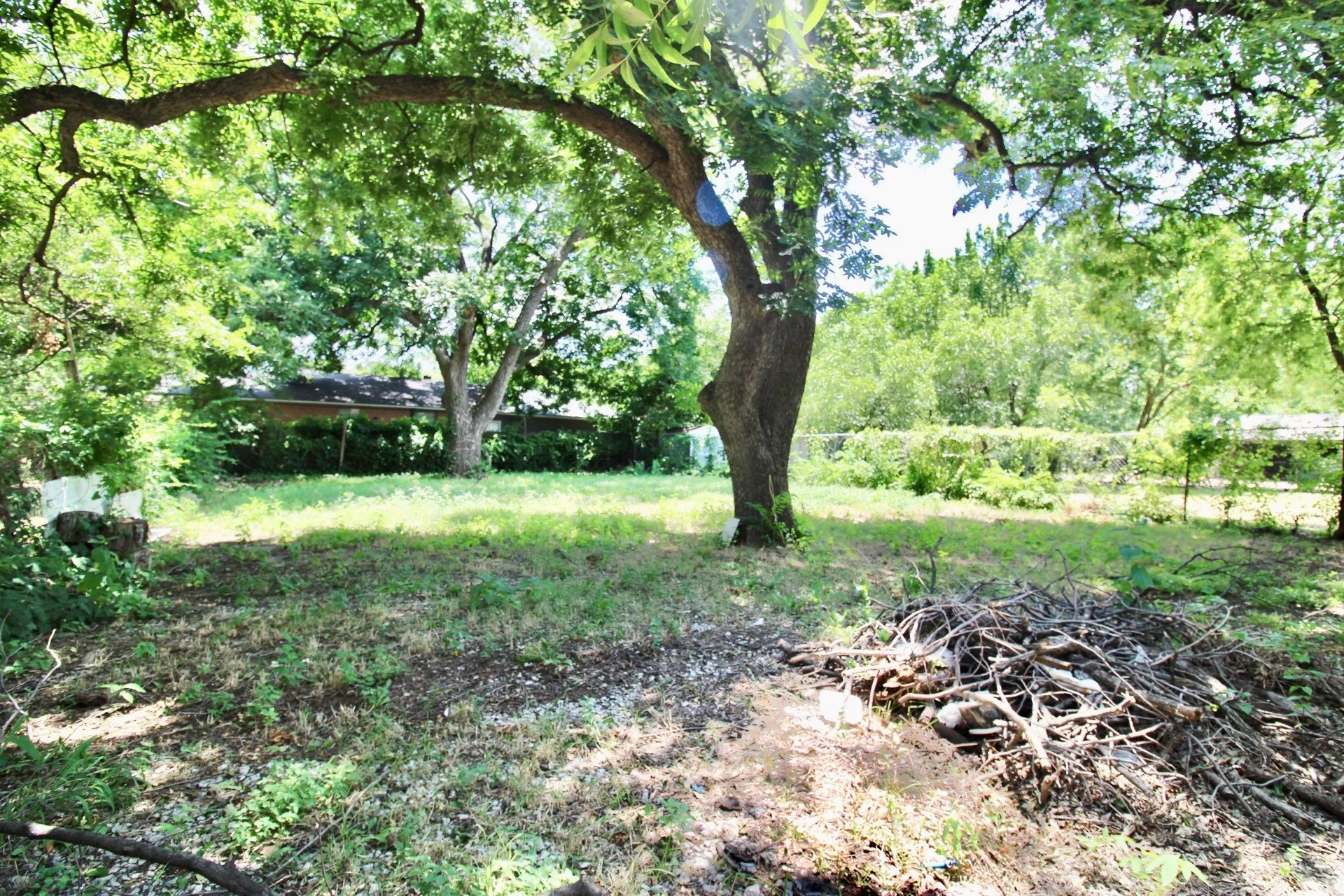 Expansive lot featuring mature trees and established perimeter foliage