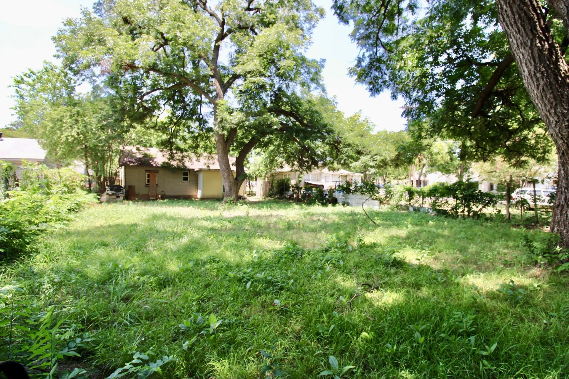 Expansive green lot featuring mature trees providing ample shade