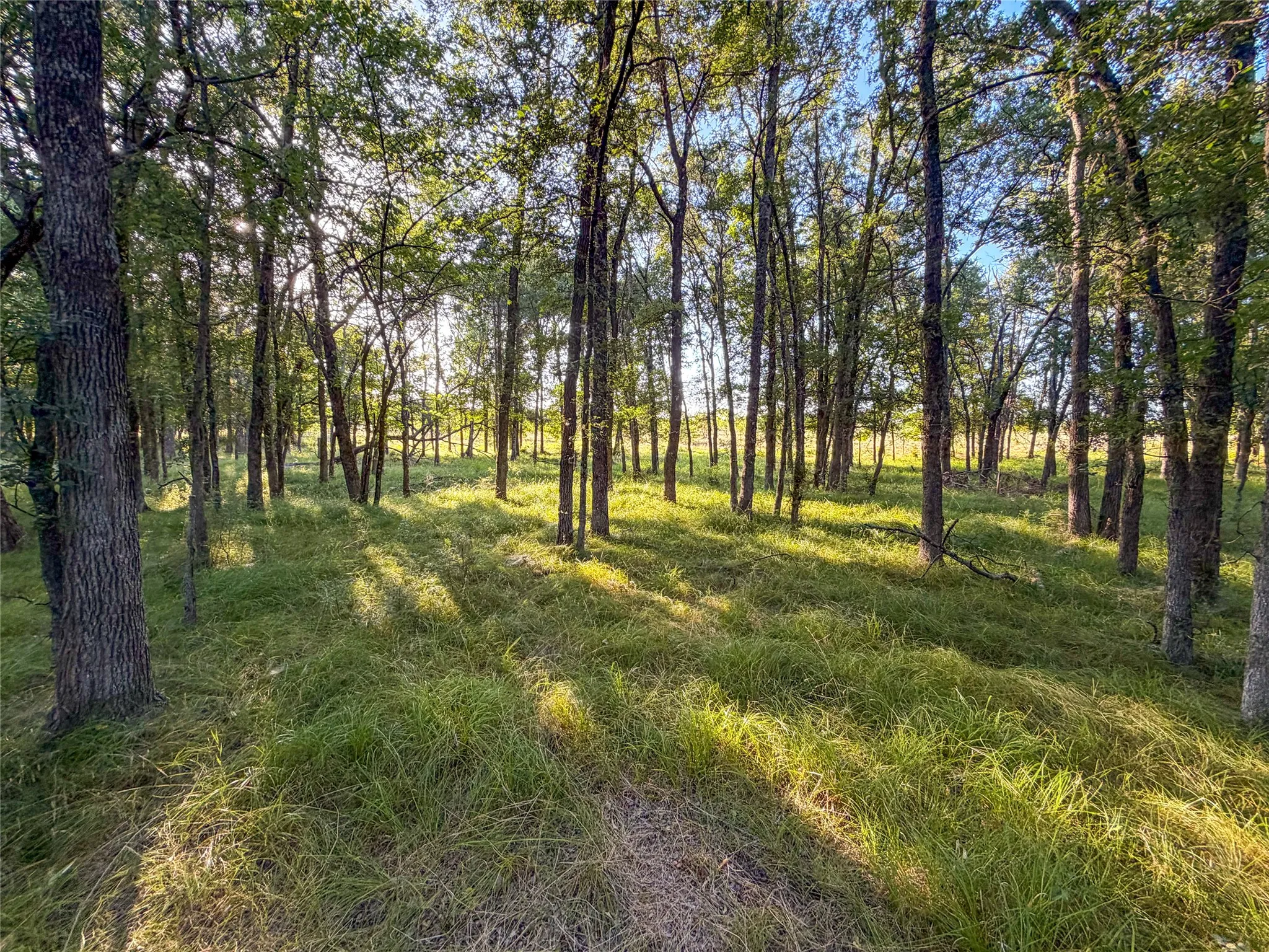 Unimproved Land For Sale in Hunt County , 5715 INTERSTATE 30, Campbell, Texas 75422, 0, 0, Garage spaces, 0 Sqft, built in 0, mls#21322797, Real Estate Agent in Campbell, Homes For Sale in Hunt county, Homes For Sale in Campbell, Realtor in Campbell Texas, Real Estate Brokerage Independent Realty Texas, Luminita Cordes Realtor