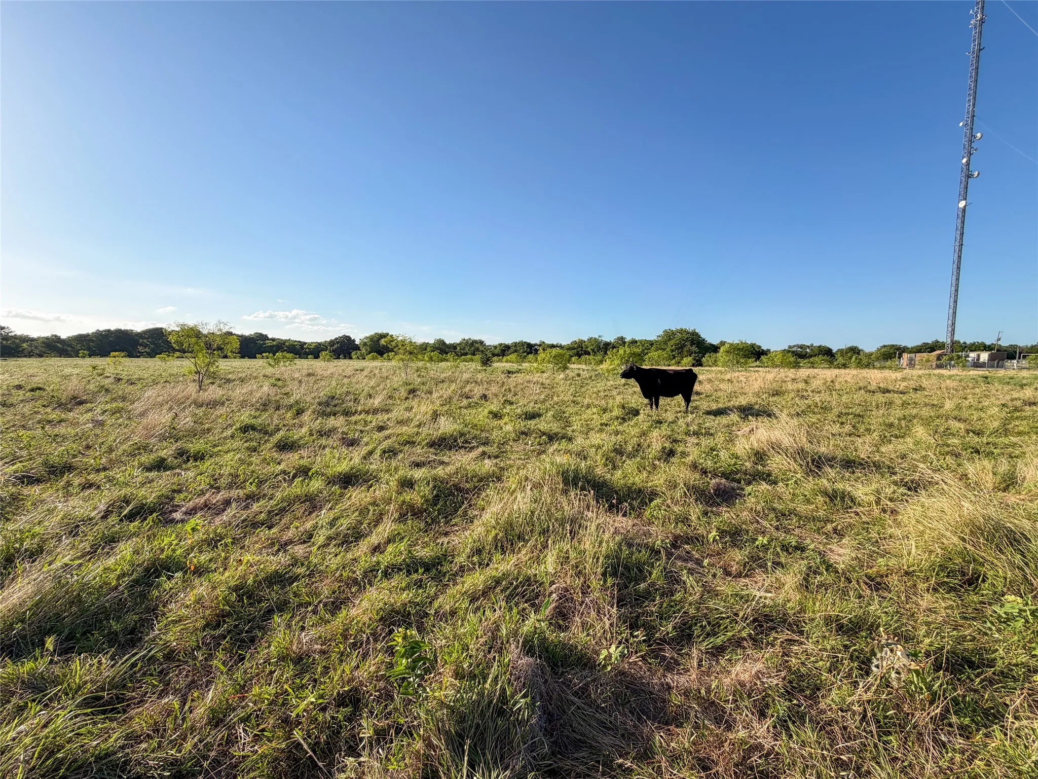 Unimproved Land For Sale in Hunt County , 5715 INTERSTATE 30, Campbell, Texas 75422, 0, 0, Garage spaces, 0 Sqft, built in 0, mls#21322797, Real Estate Agent in Campbell, Homes For Sale in Hunt county, Homes For Sale in Campbell, Realtor in Campbell Texas, Real Estate Brokerage Independent Realty Texas, Luminita Cordes Realtor